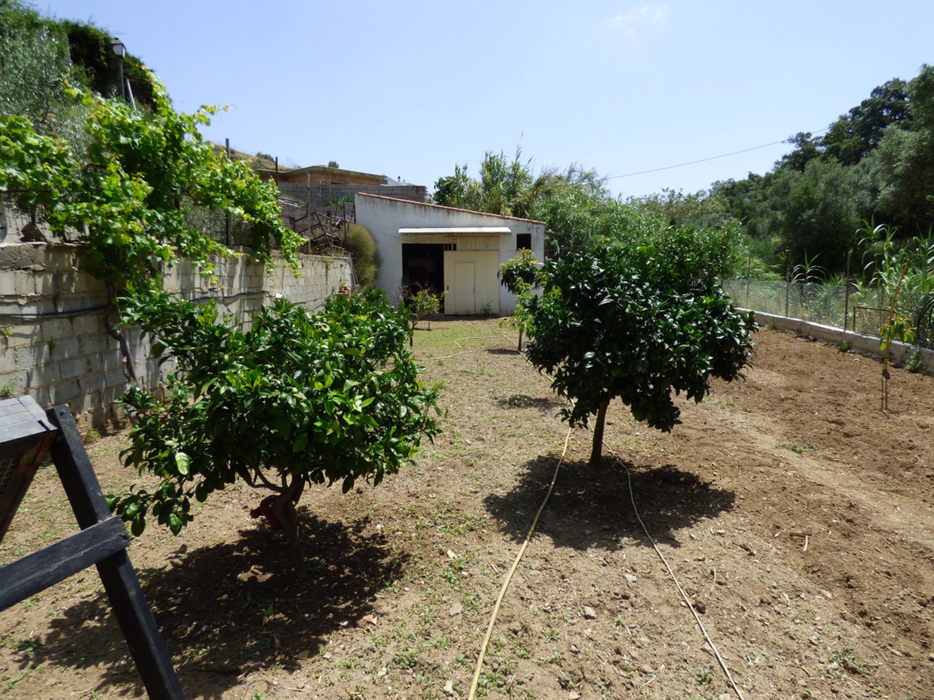 Terre dans El Hornillo, Castille-León 10856274