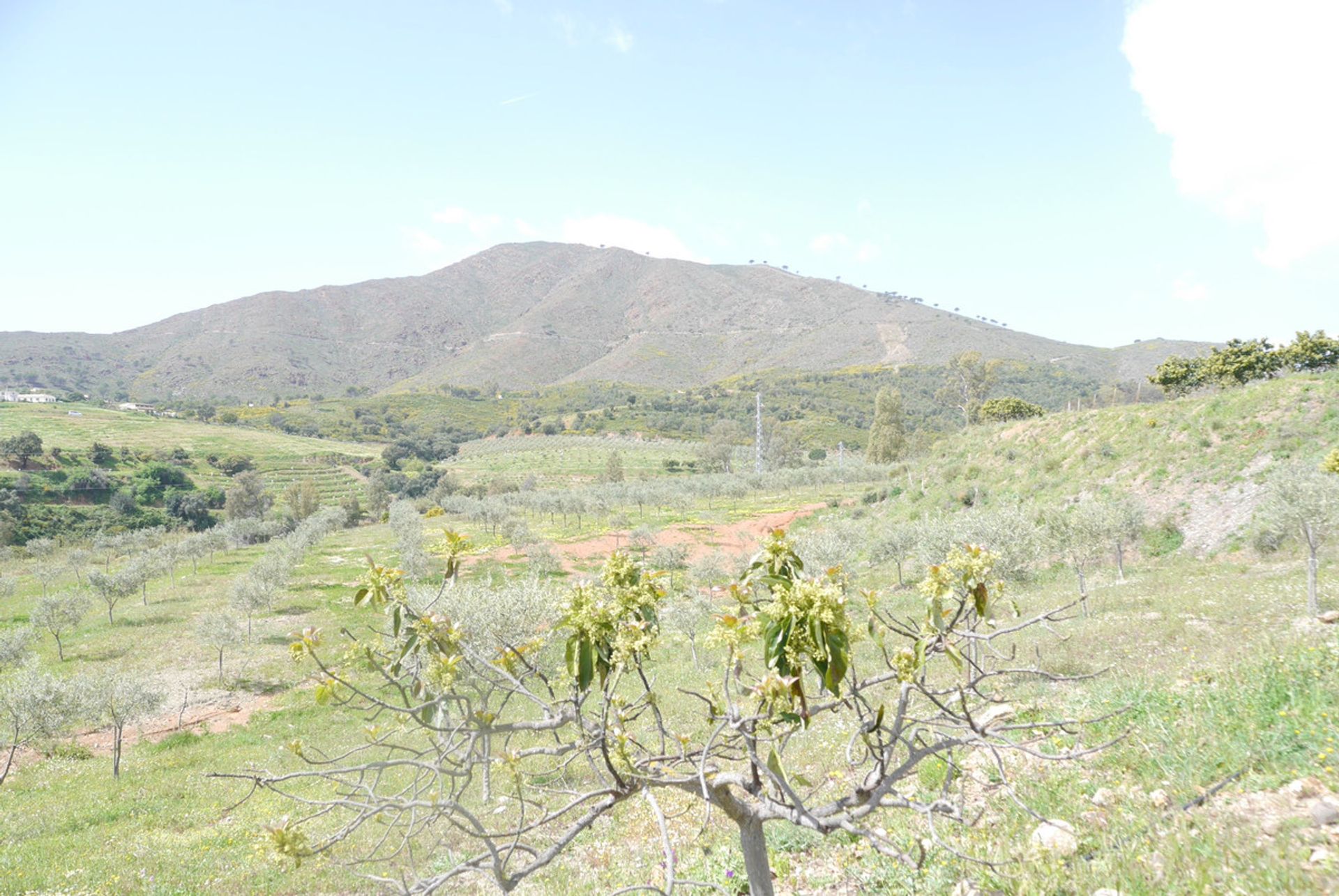 loger dans Mijas, Andalucía 10856963