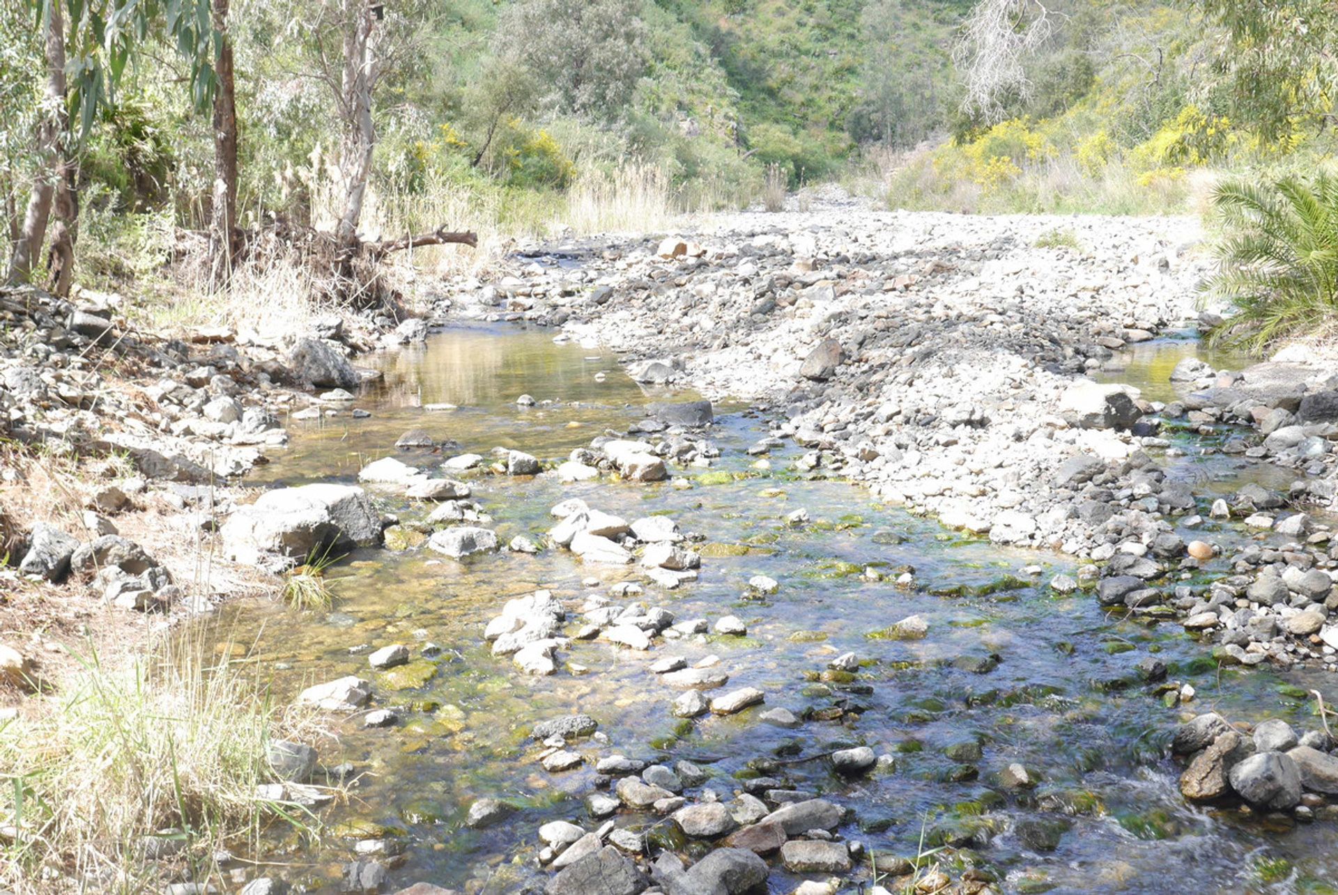 loger dans Mijas, Andalucía 10856963