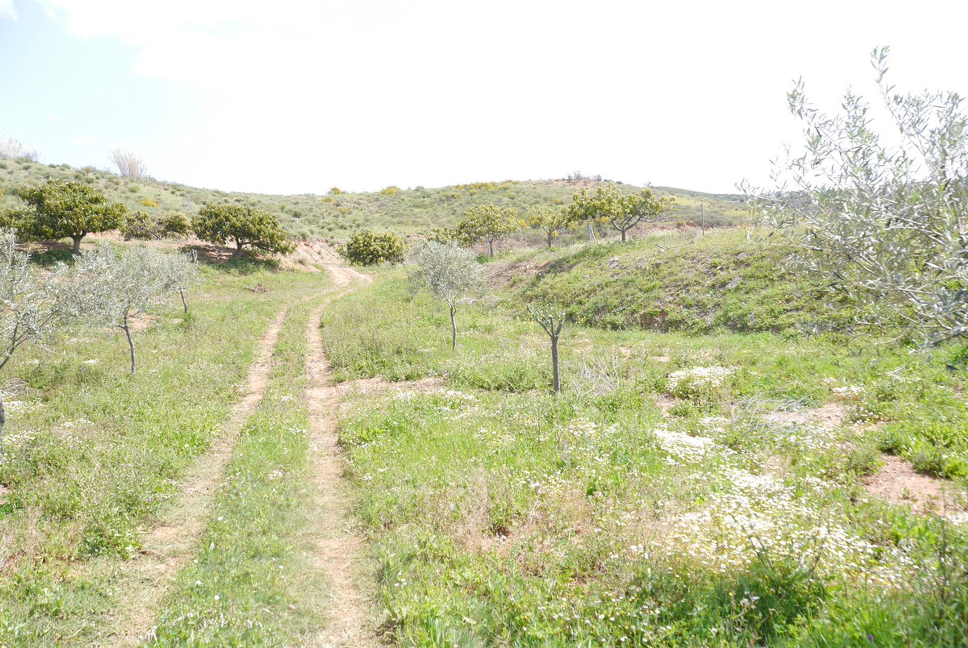 loger dans Mijas, Andalucía 10856963