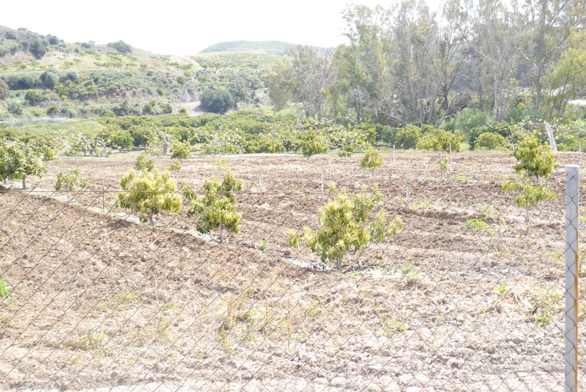 loger dans Mijas, Andalucía 10856963