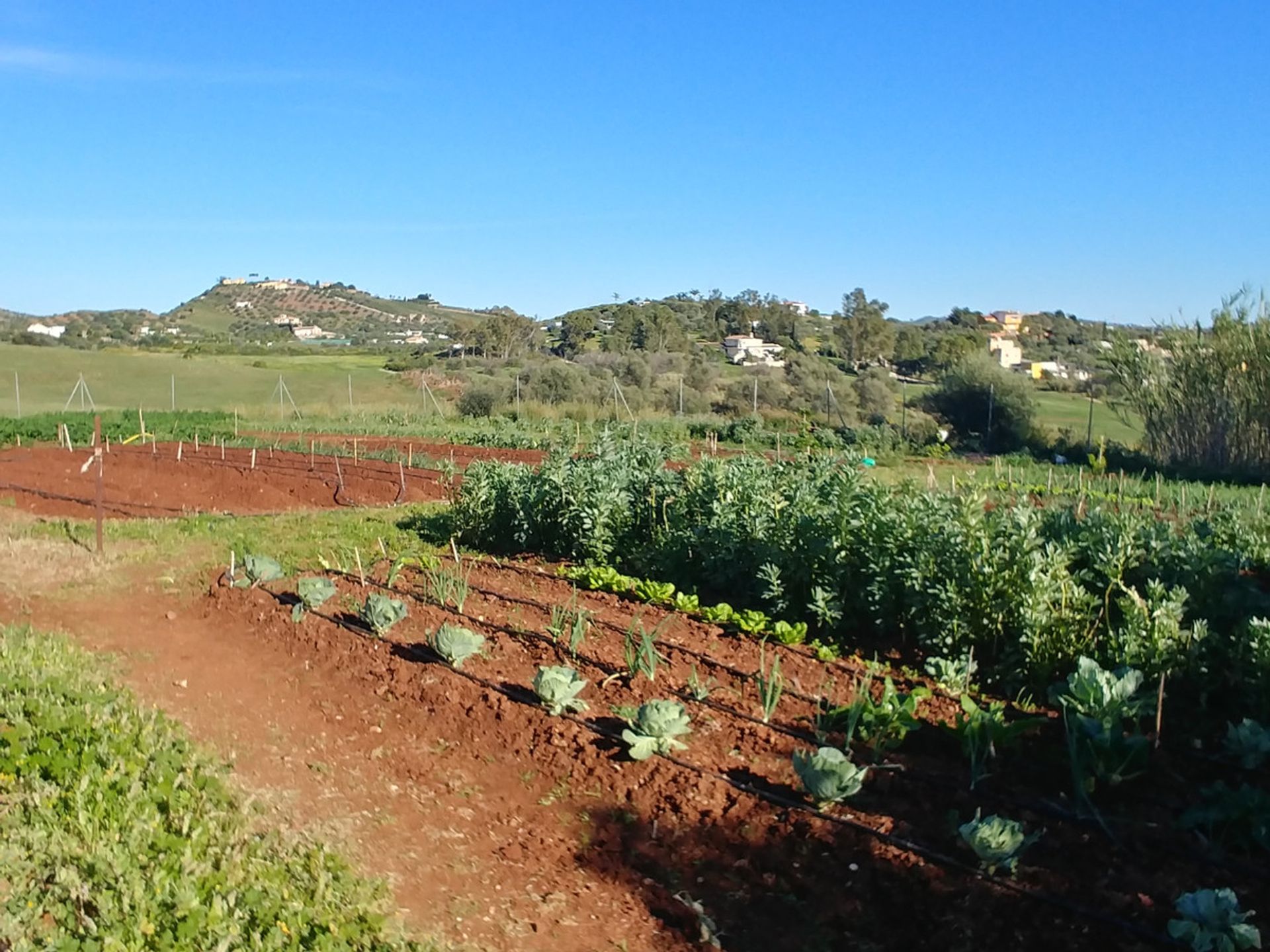 жилой дом в Mijas, Andalucía 10856977