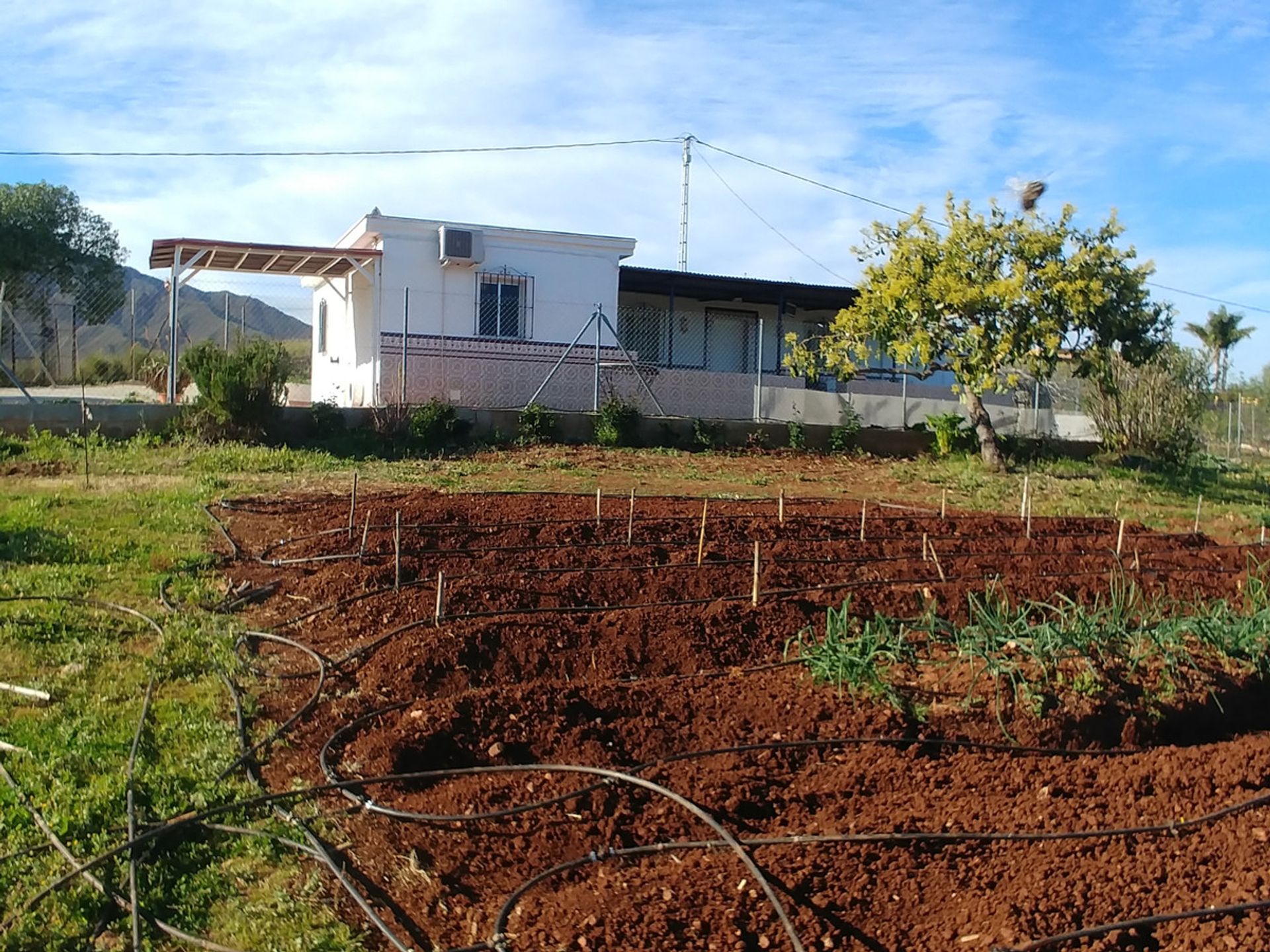 жилой дом в Mijas, Andalucía 10856977