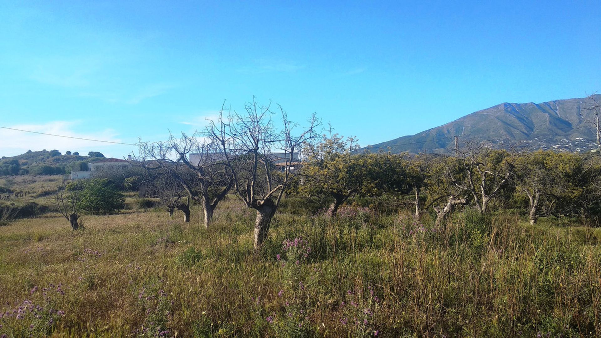 집 에 Mijas, Andalucía 10856982