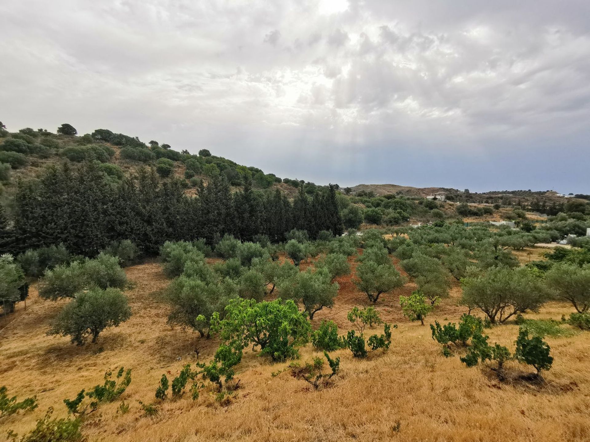 Hus i Entrerríos, Extremadura 10857010