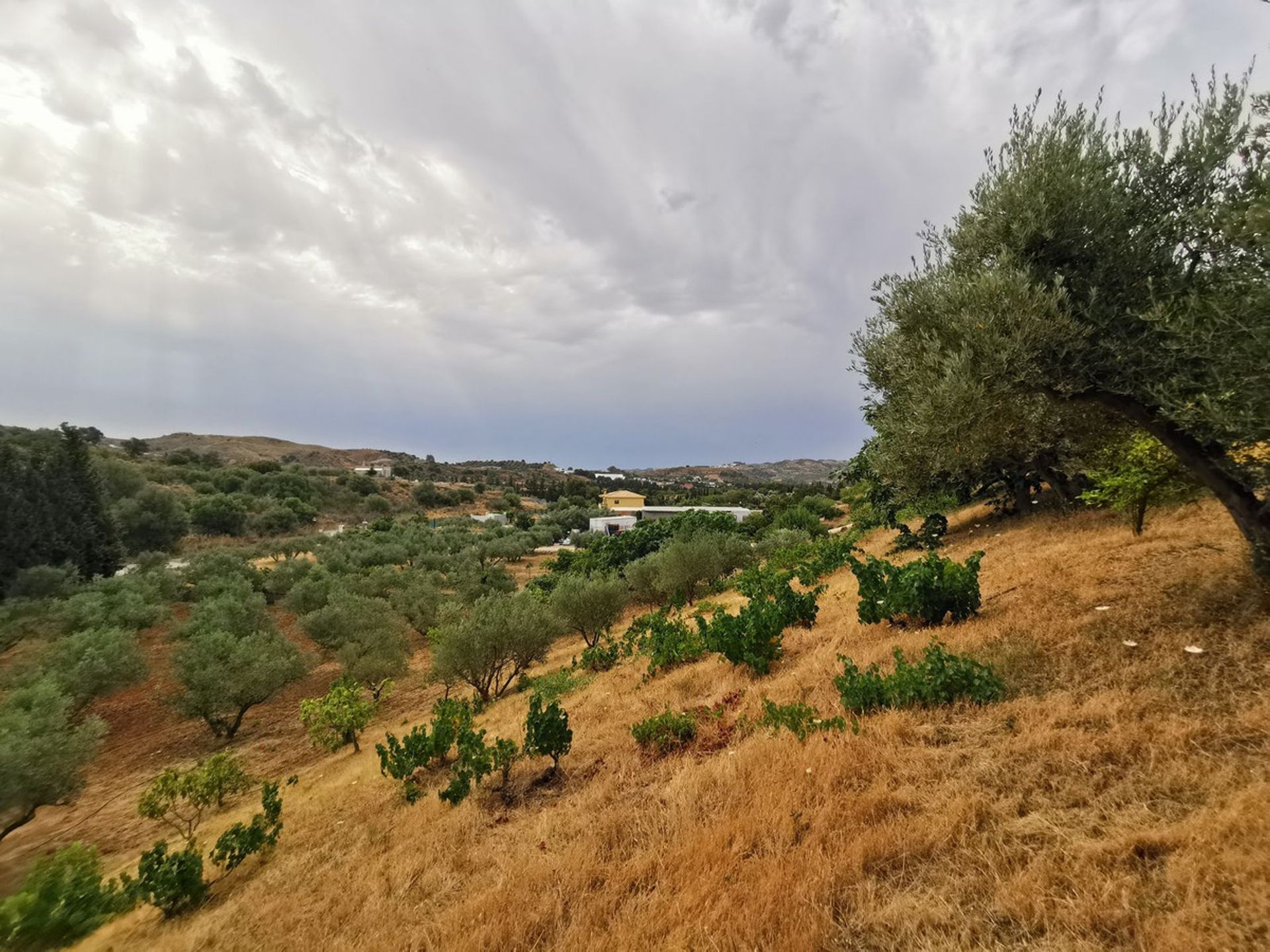 Hus i Entrerríos, Extremadura 10857010