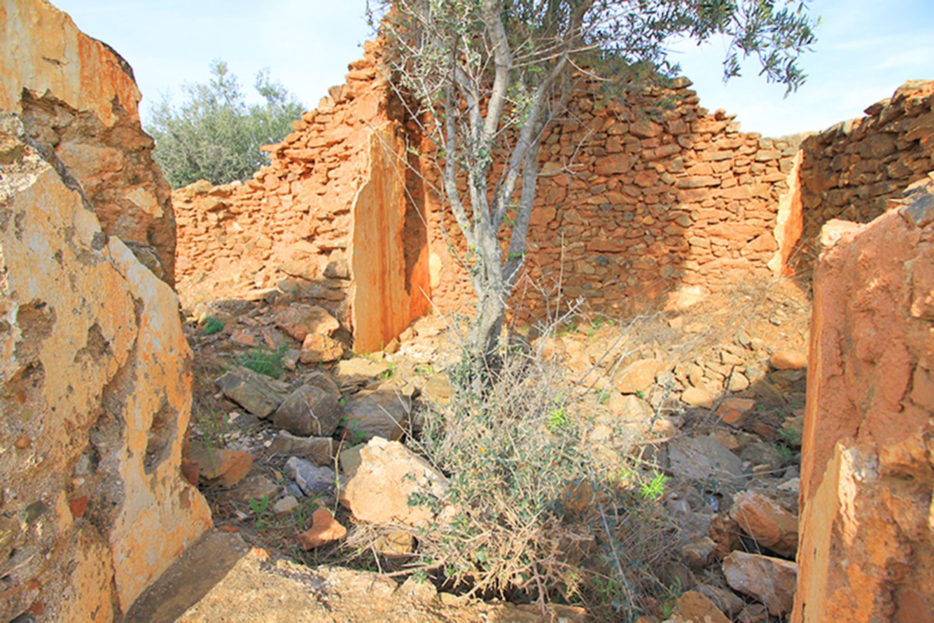 土地 在 Entrerríos, Extremadura 10857016