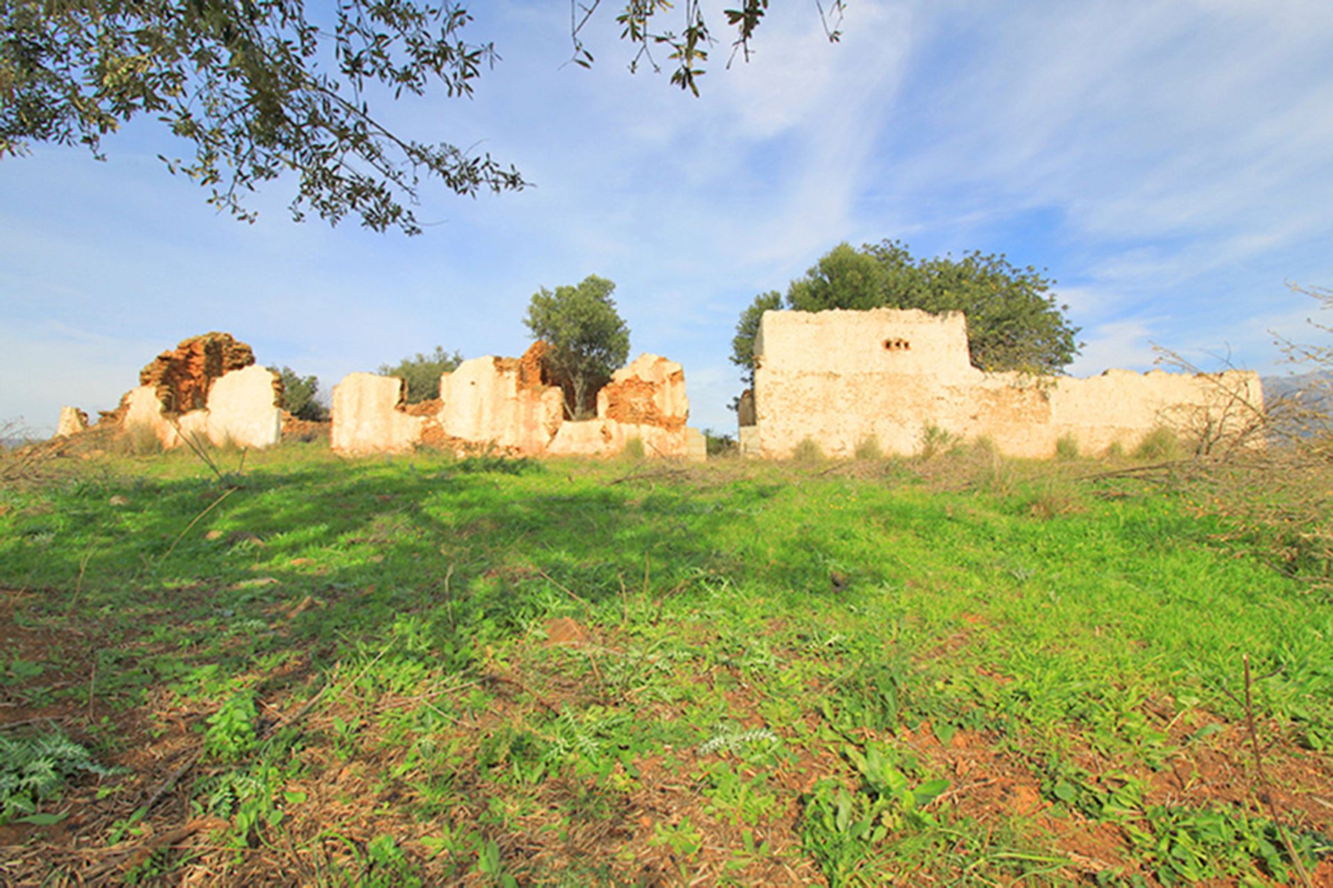 土地 在 Entrerríos, Extremadura 10857016