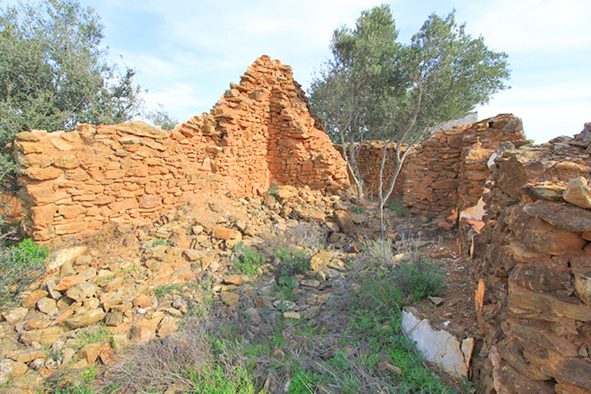 土地 在 Entrerríos, Extremadura 10857016