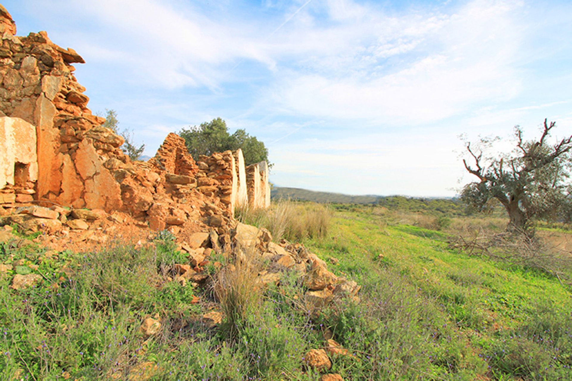 土地 在 Entrerríos, Extremadura 10857016