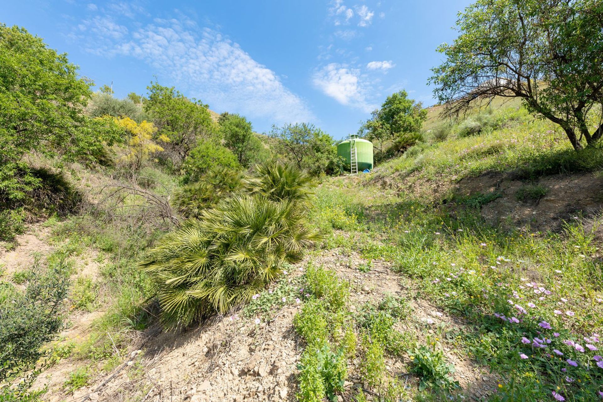 Huis in Estación de Cártama, Andalucía 10857028