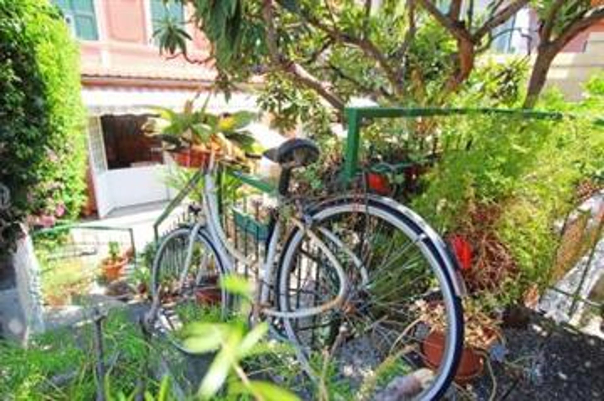 Andere im Bordighera, Liguria 10857371