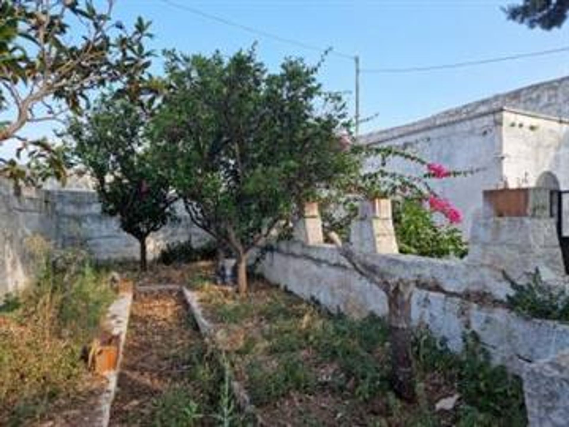 房子 在 Ostuni, Apulia 10857406