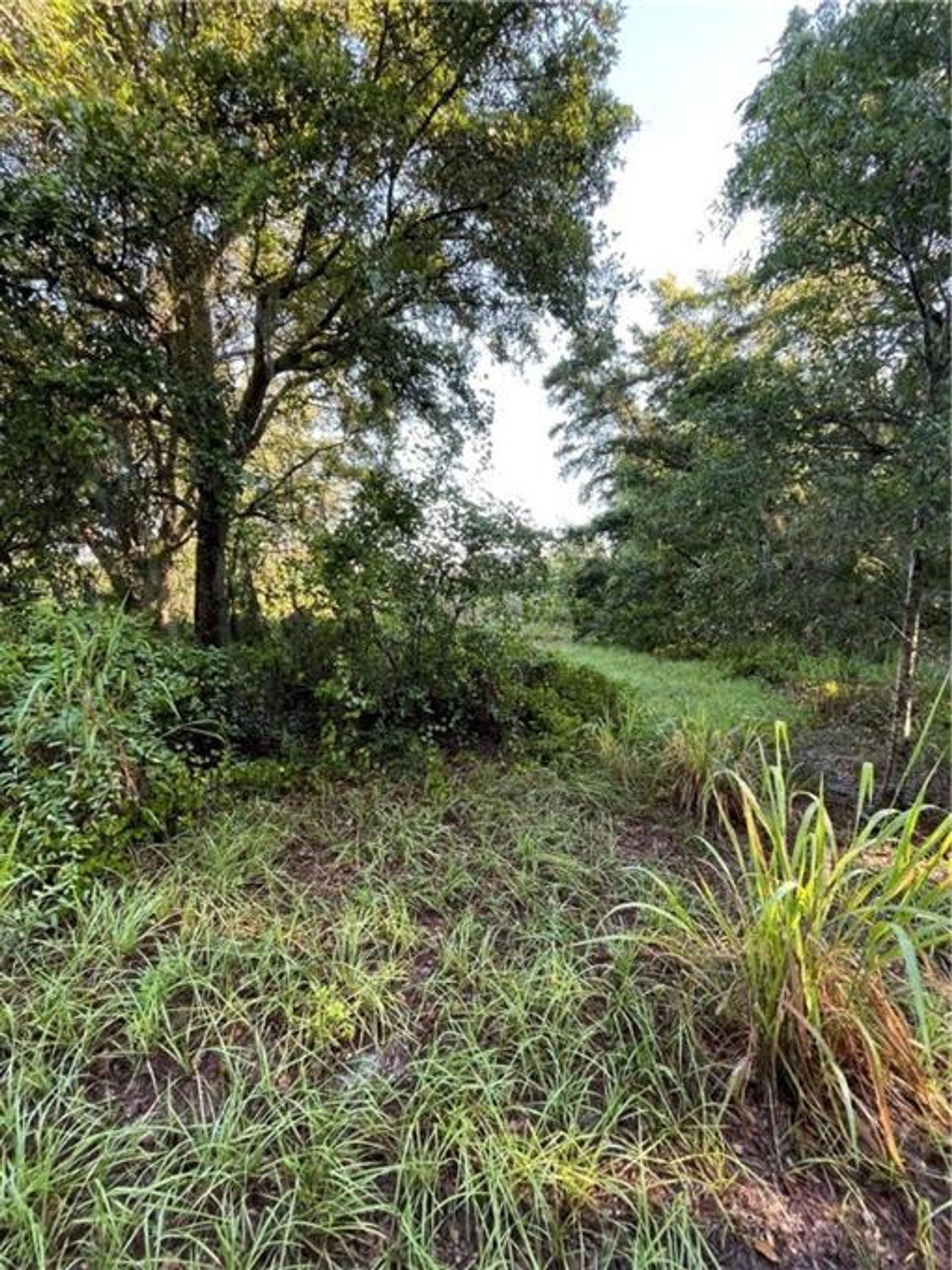 Land in Vero Beach, Florida 10858231