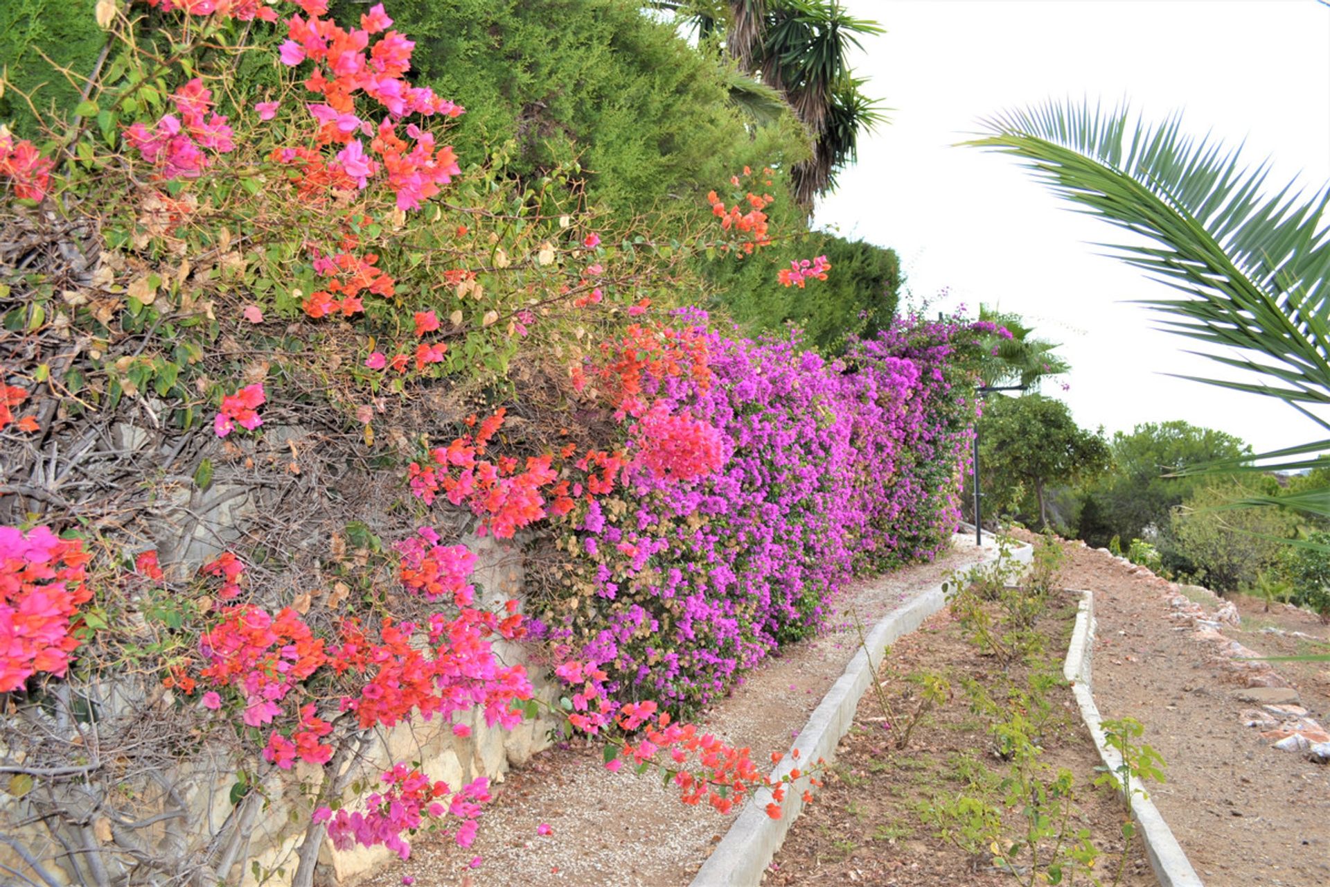 casa en Mijas, Andalusia 10861981