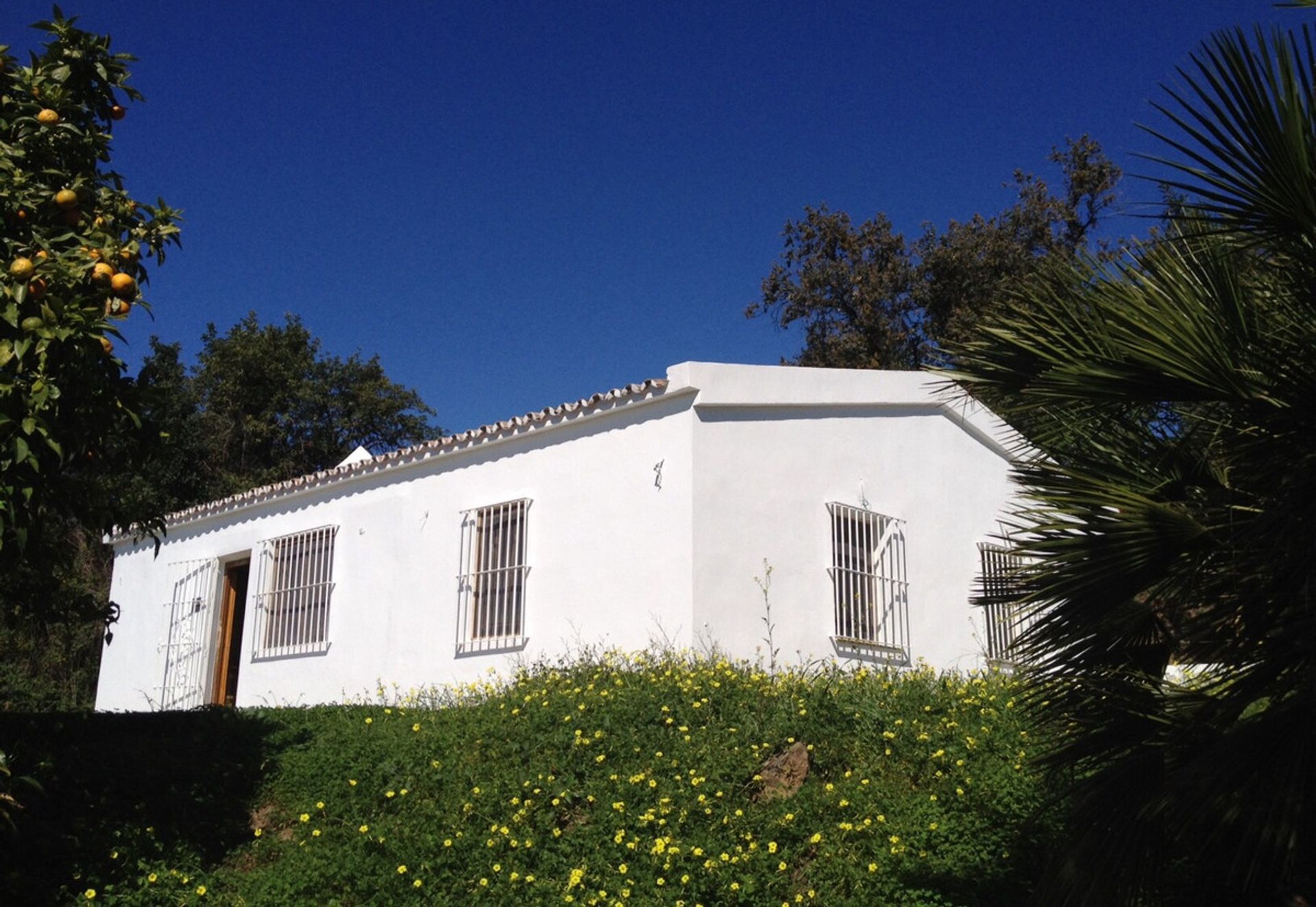 Rumah di San Pedro de Alcantara, Andalusia 10862387