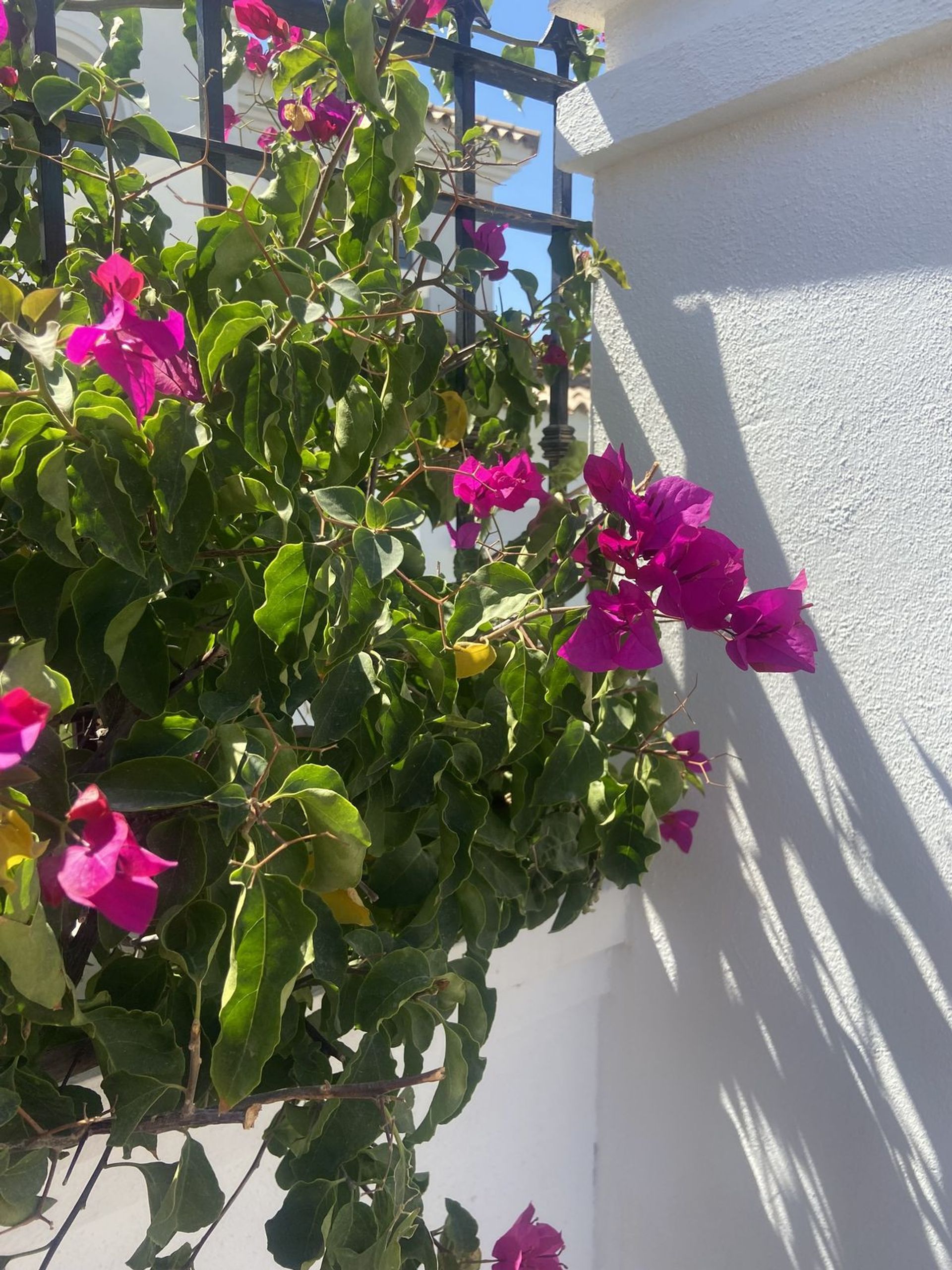 Haus im Marbella, Andalucía 10862770