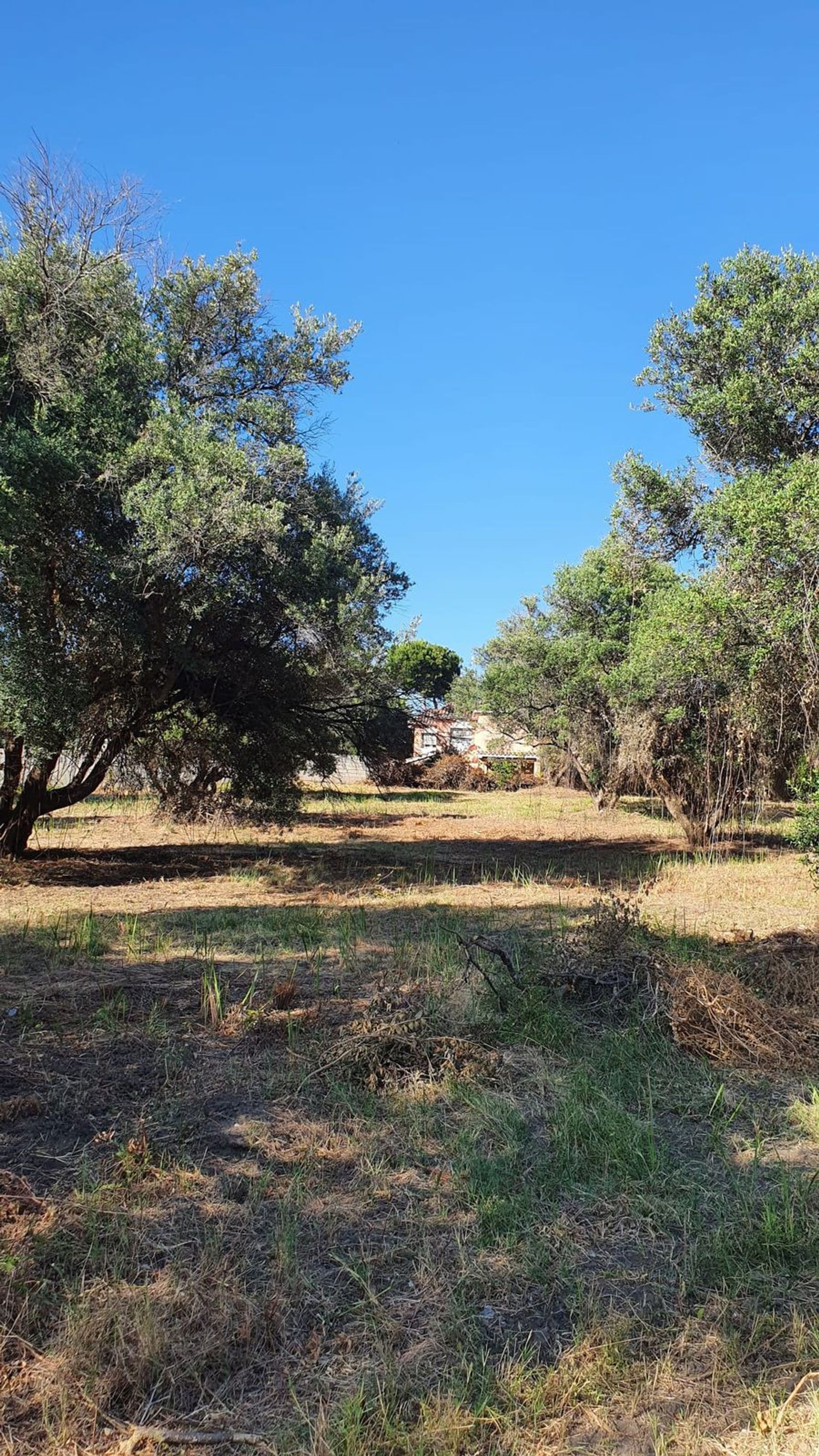 Land in Marbella, Andalucía 10863058