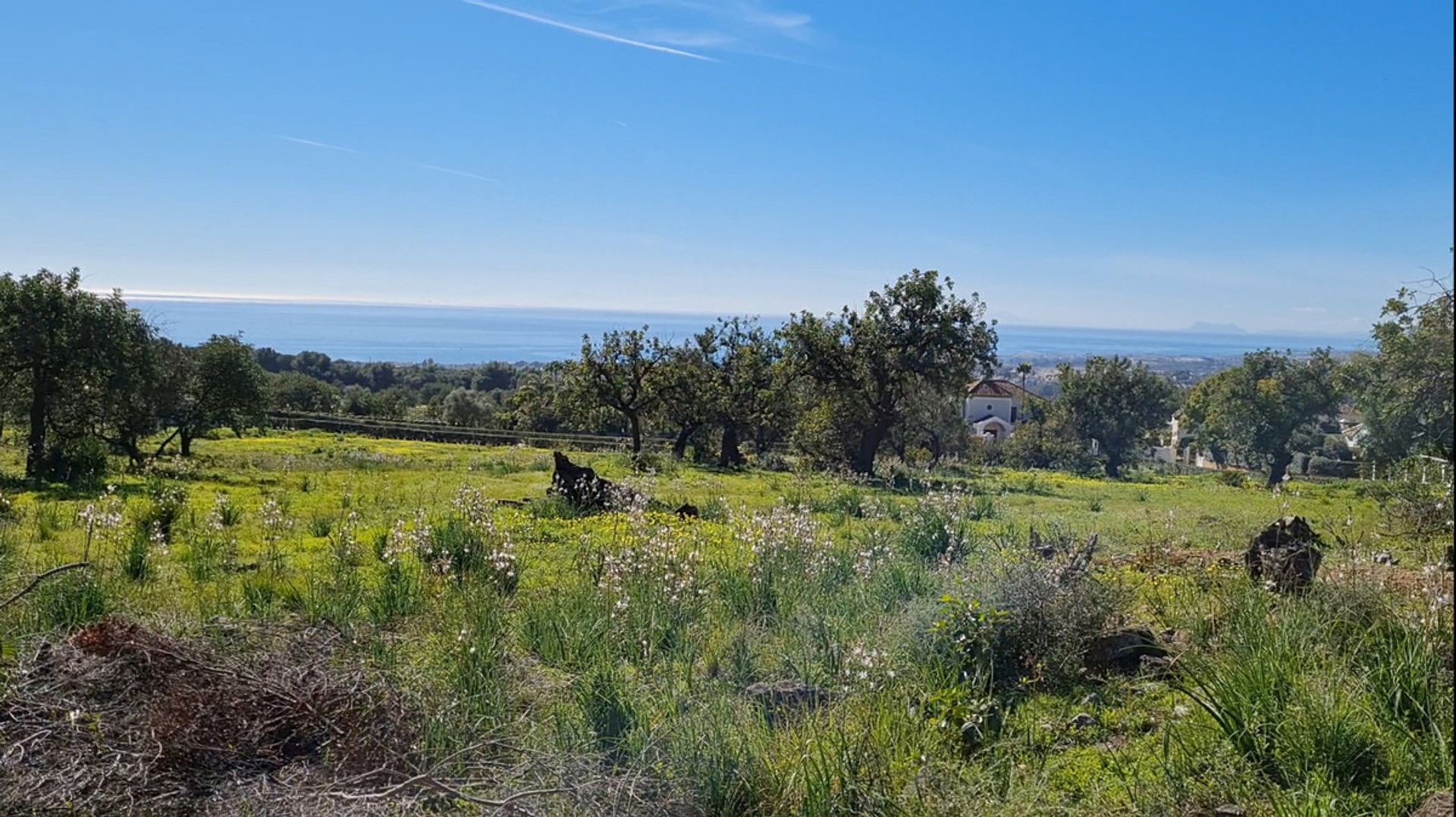 Land in Marbella, Andalucía 10863120