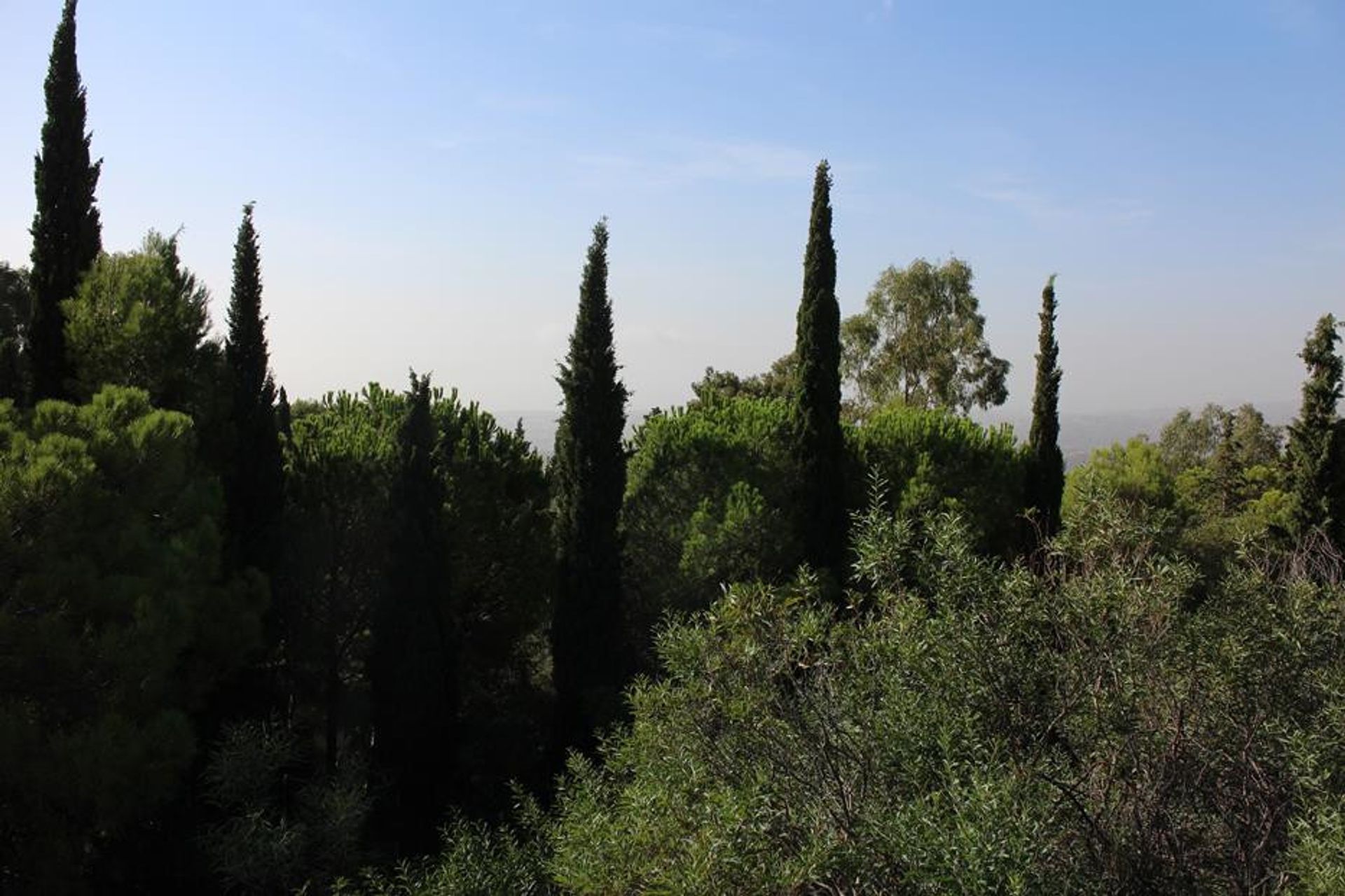 Land in Alhaurin el Grande, Andalusië 10863473