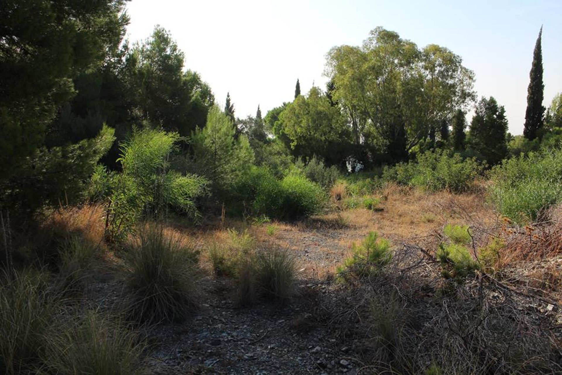 Land in Alhaurin el Grande, Andalusië 10863473