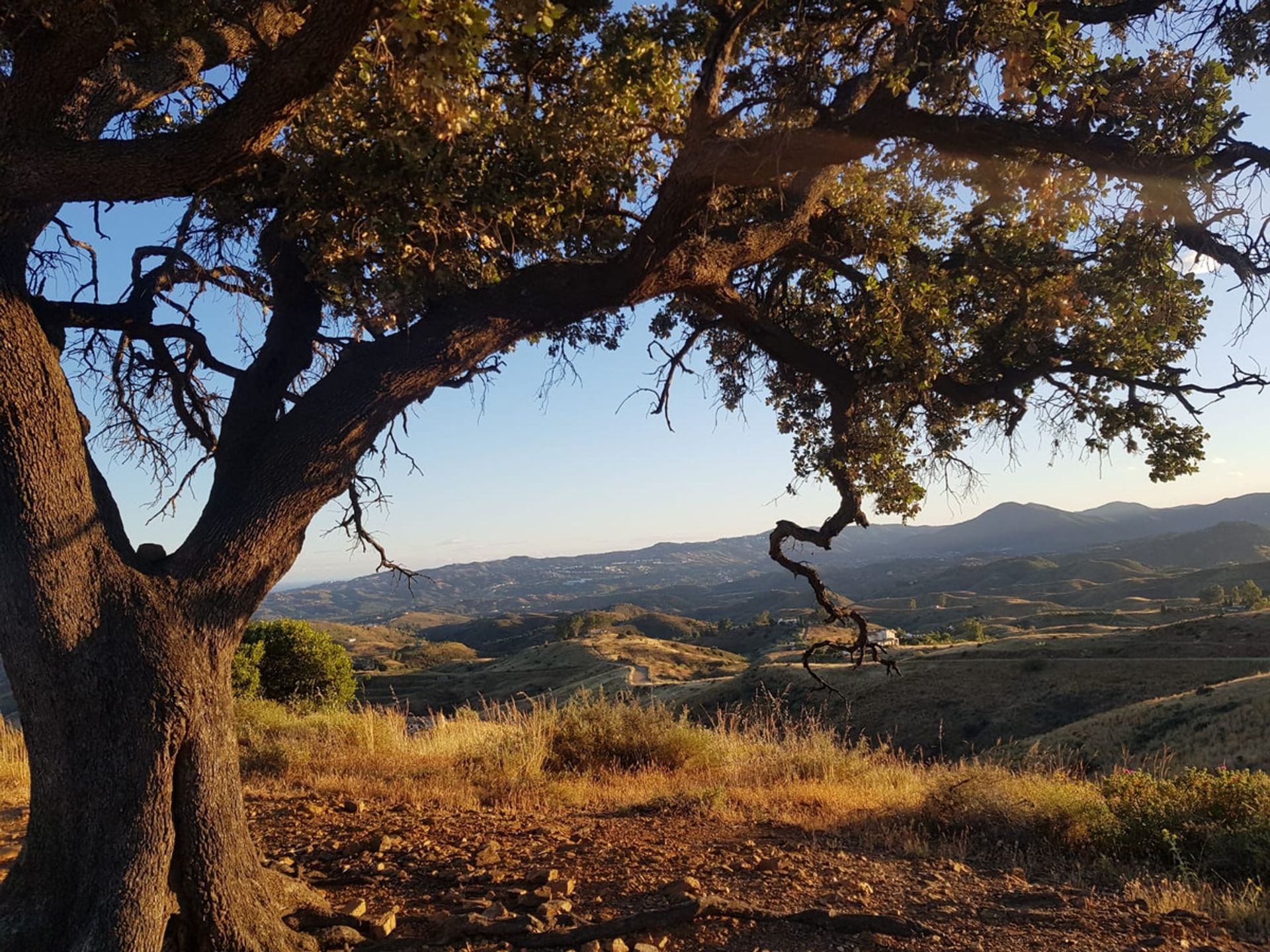 Tierra en Valtocado, Andalusia 10863475