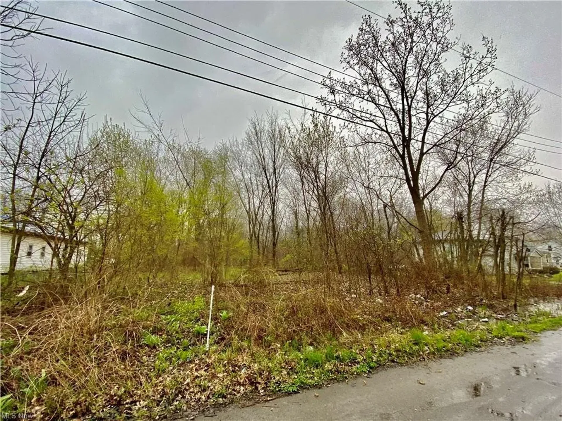 Land in Lorain, Russell Avenue 10863507