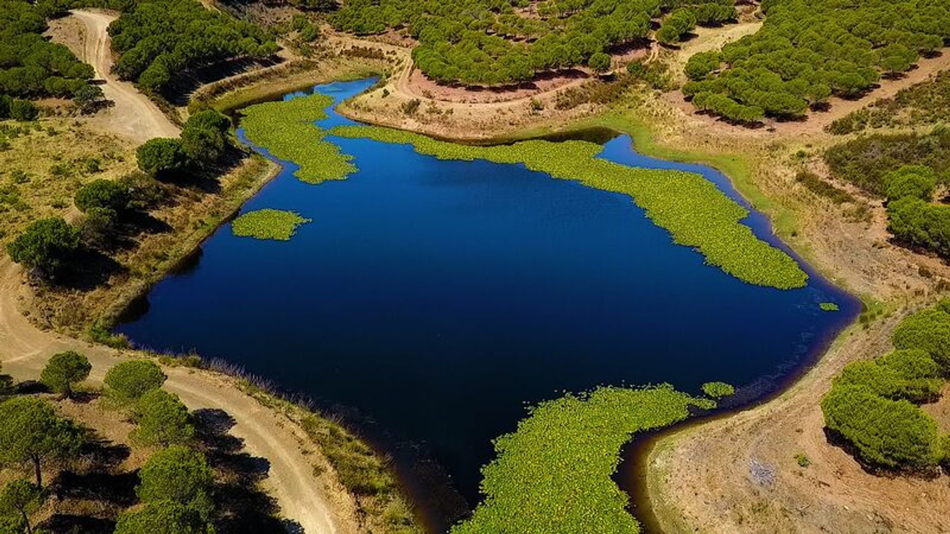 房子 在 Castro Marim, Faro District 10863588