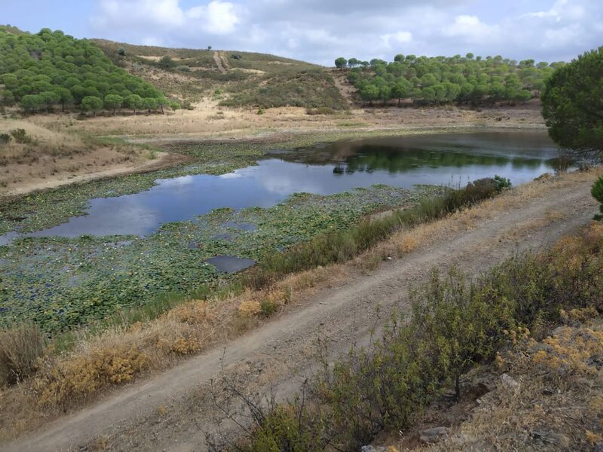 loger dans Castro Marim, Faro District 10863588