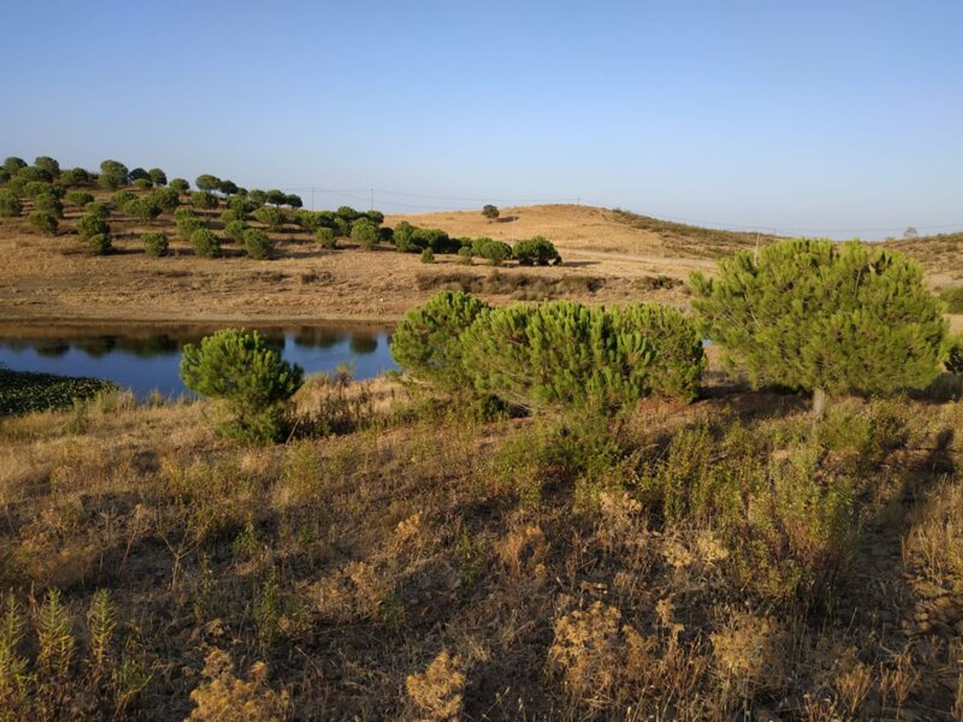 Terra no Castro Marim, Faro District 10863811