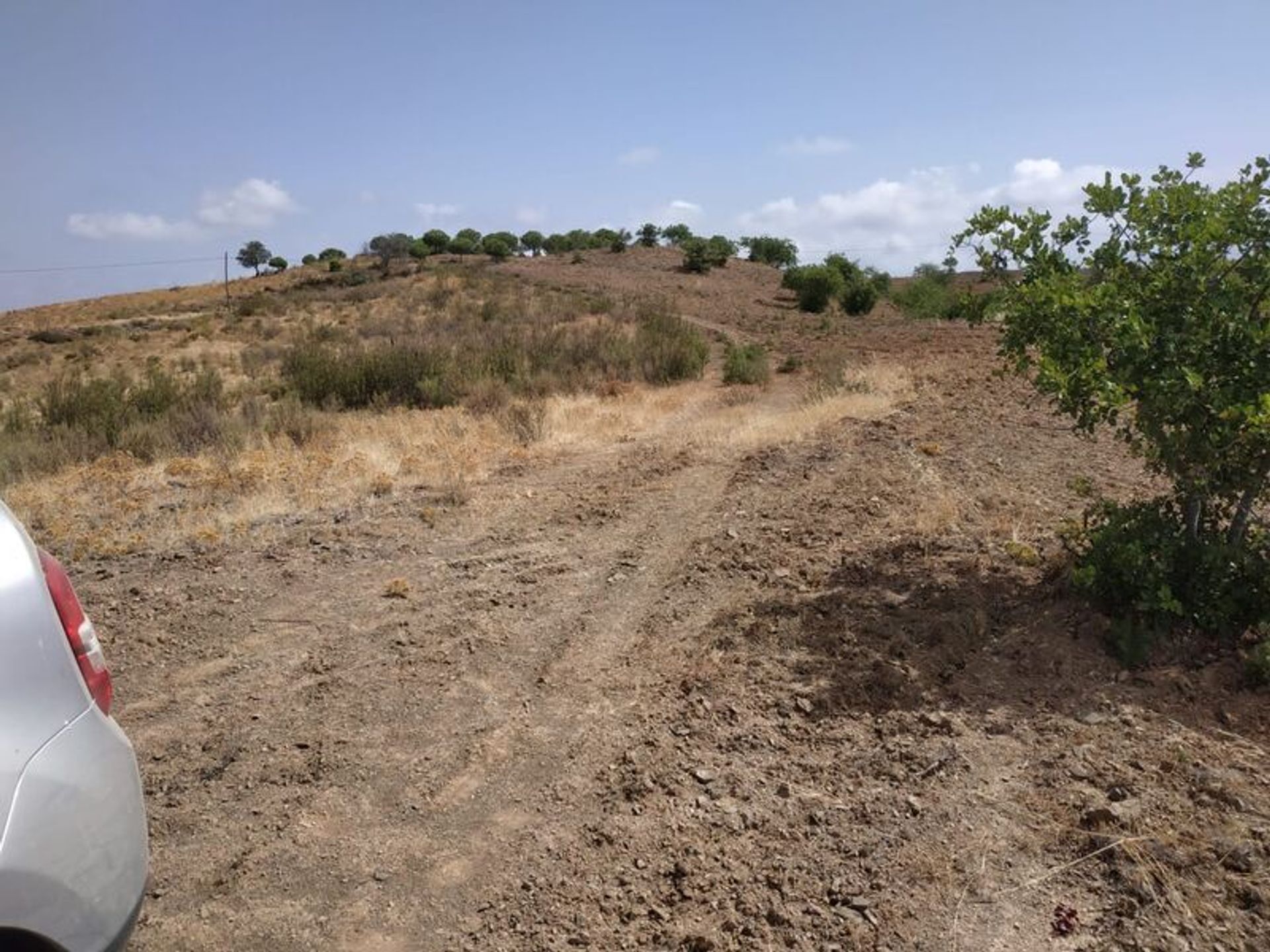 Terra no Castro Marim, Faro District 10863811