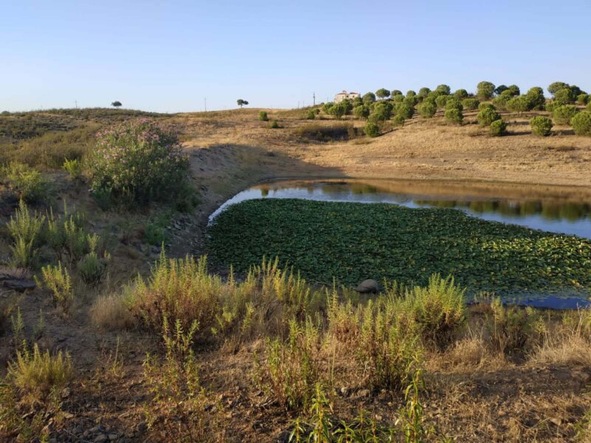 Terra no Castro Marim, Faro District 10863811