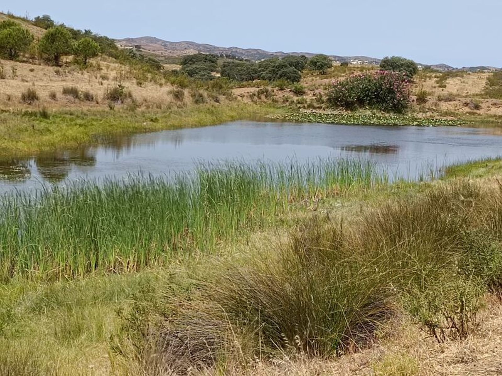 Terra no Castro Marim, Faro District 10863811