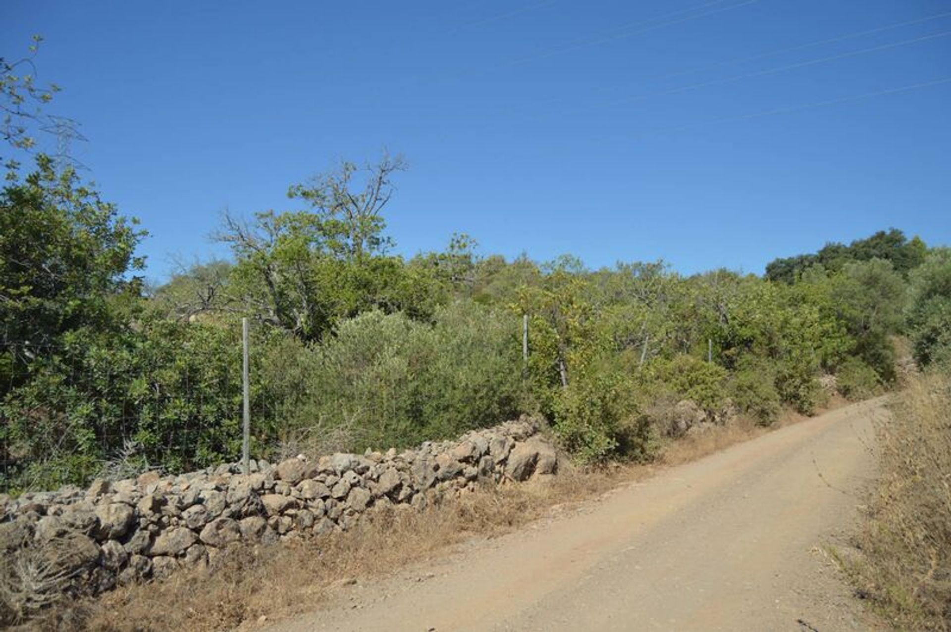 Land in Moncarapacho, Faro 10863888