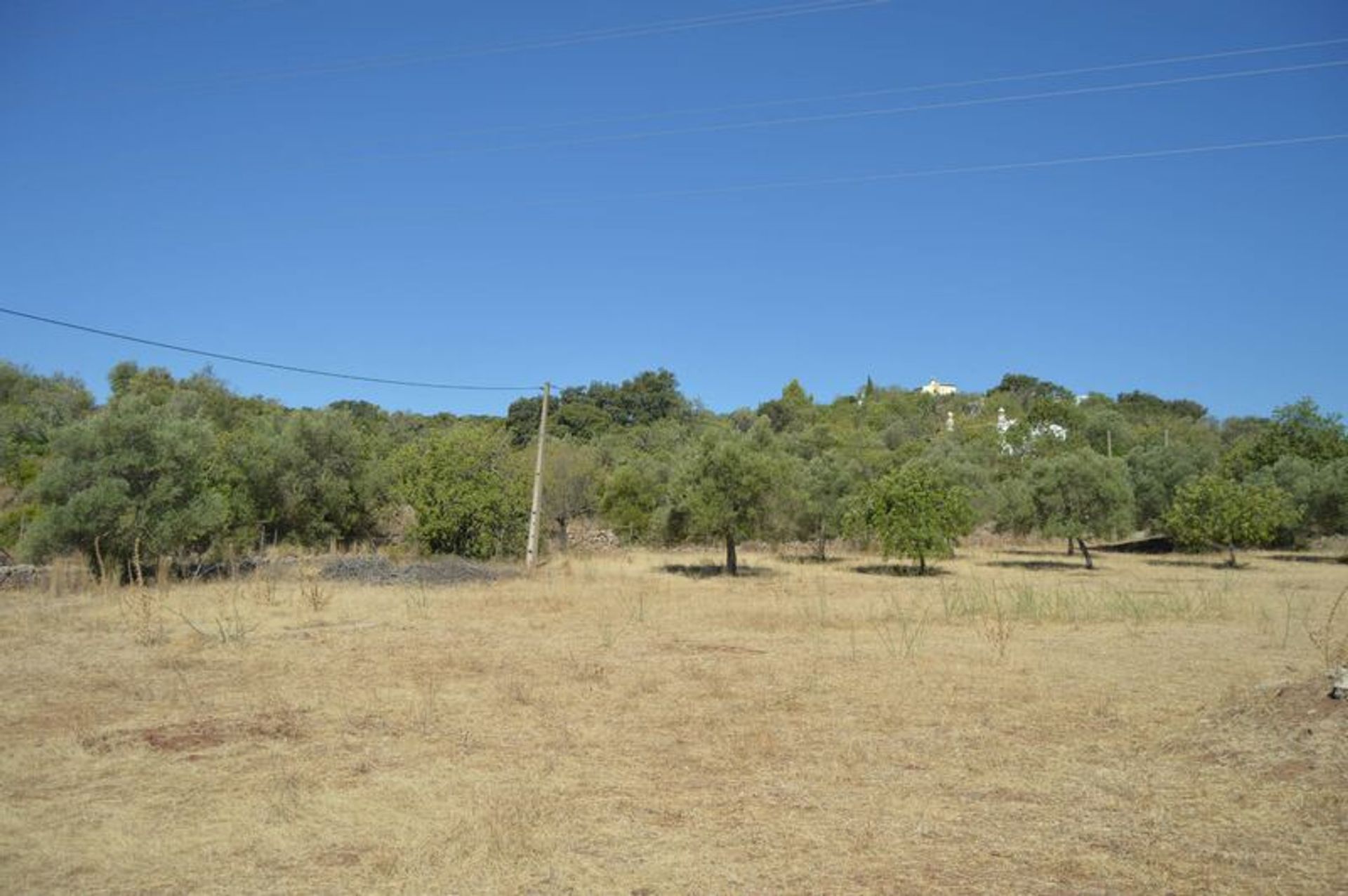 Land in Moncarapacho, Faro 10863888