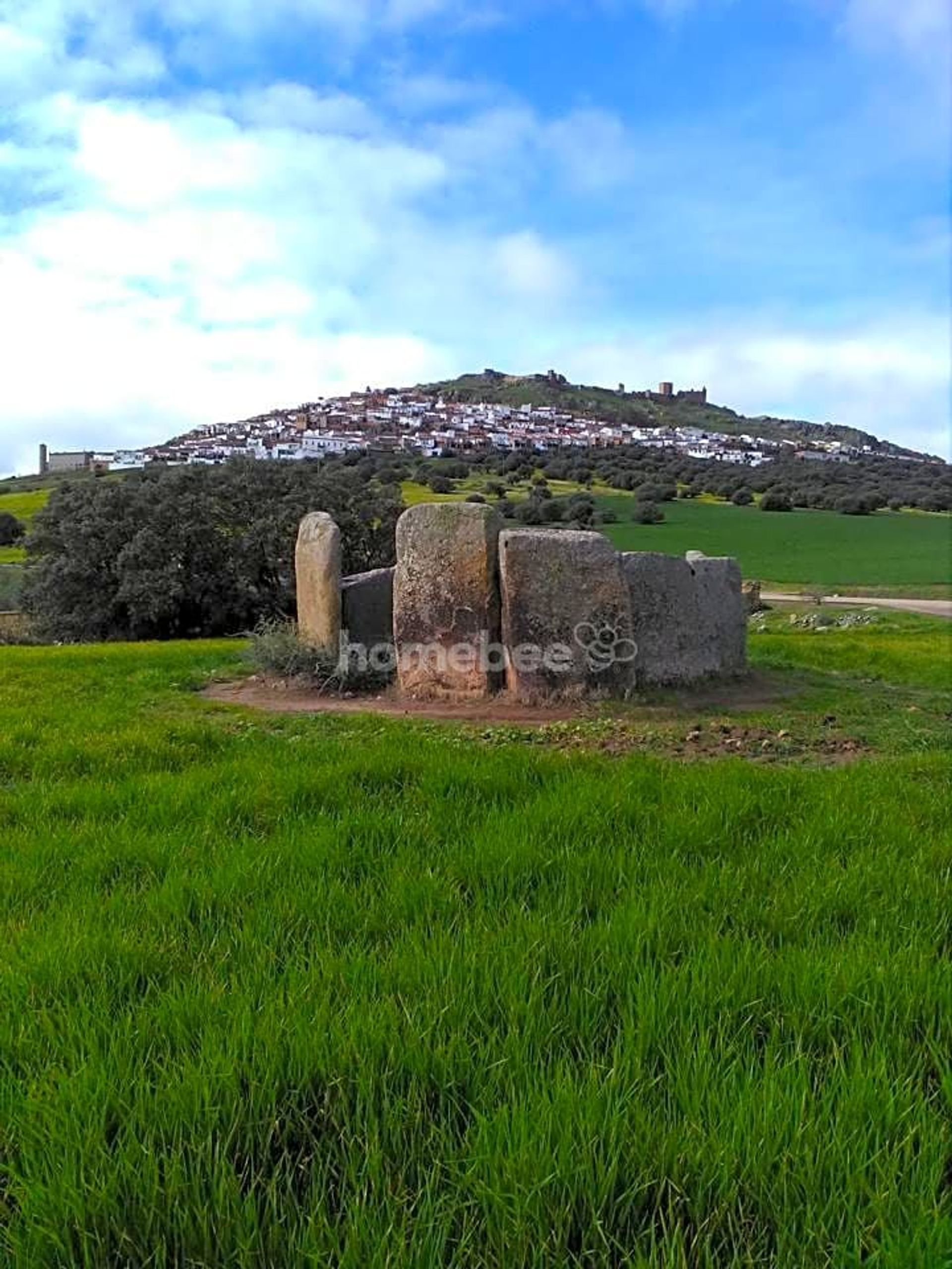 Hus i La Coronada, Extremadura 10863890