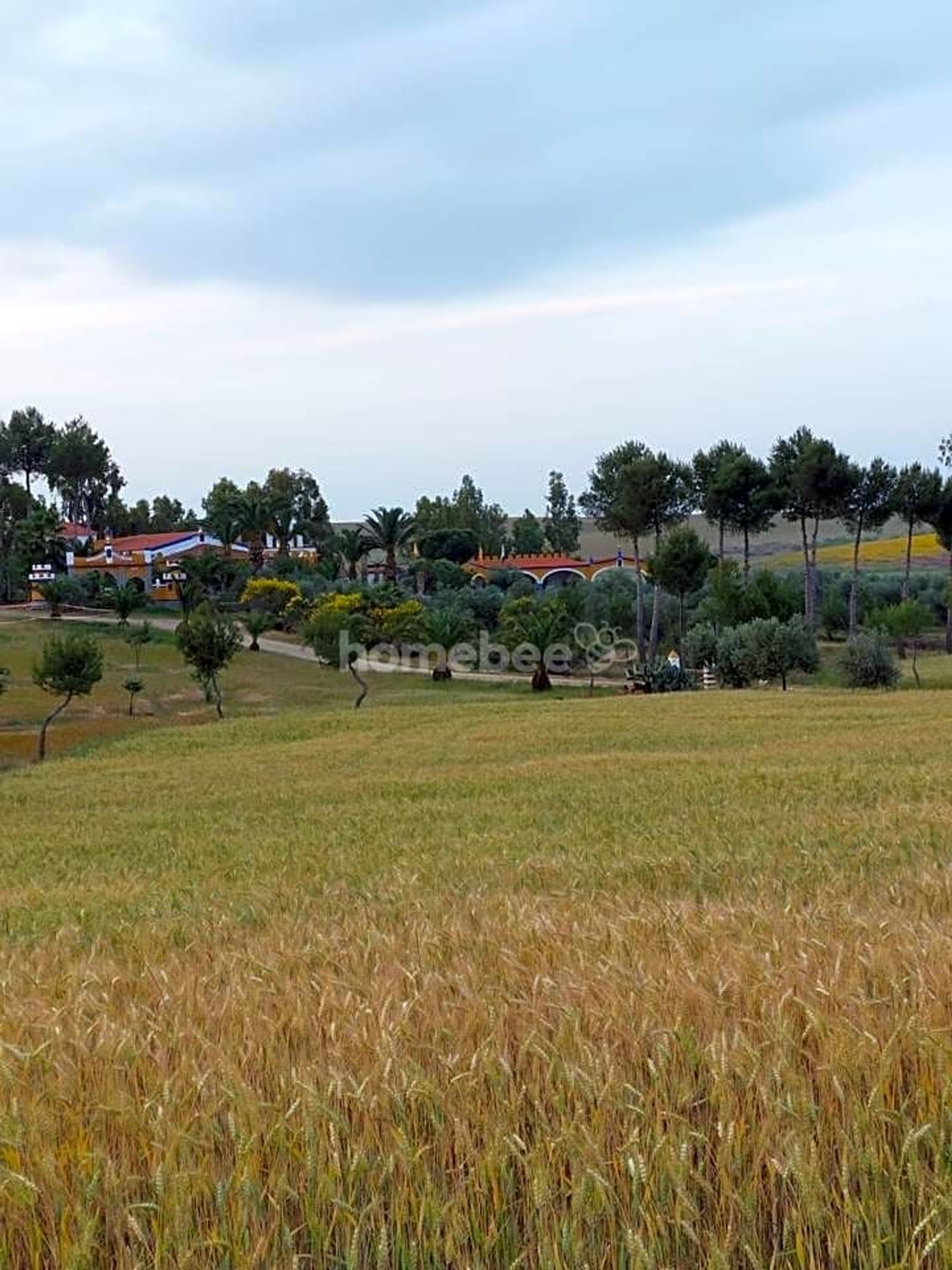 Hus i La Coronada, Extremadura 10863890