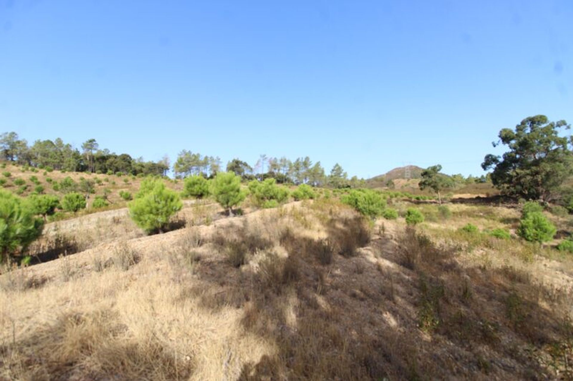 Land in Loulé, Faro District 10863895