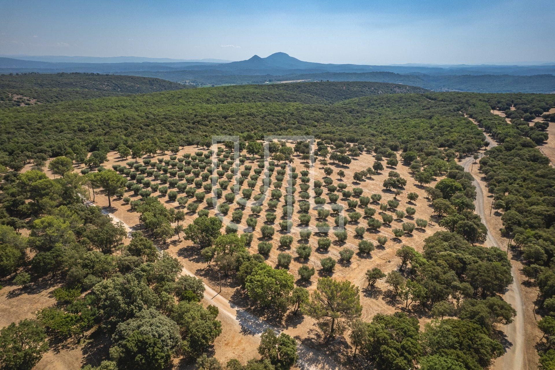 Hus i Brue-Auriac, Provence-Alpes-Cote d'Azur 10864339