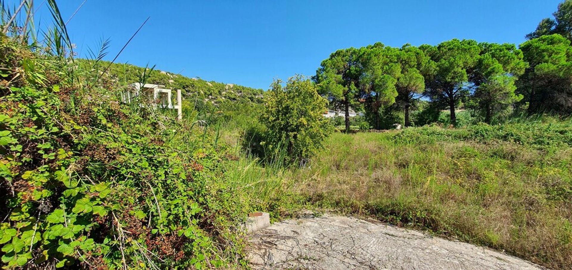 土地 在 尼基蒂, 肯特里基馬其頓 10865164