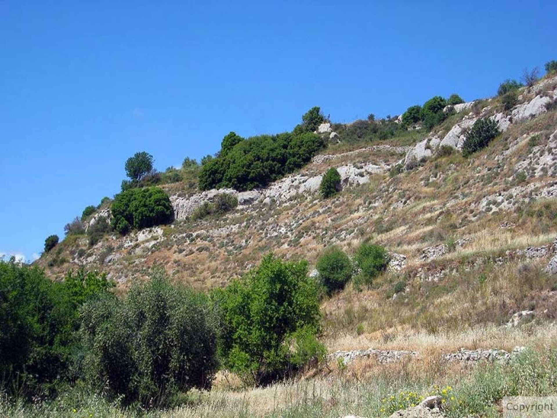 Tierra en Mesa Chorio, Pafos 10865467