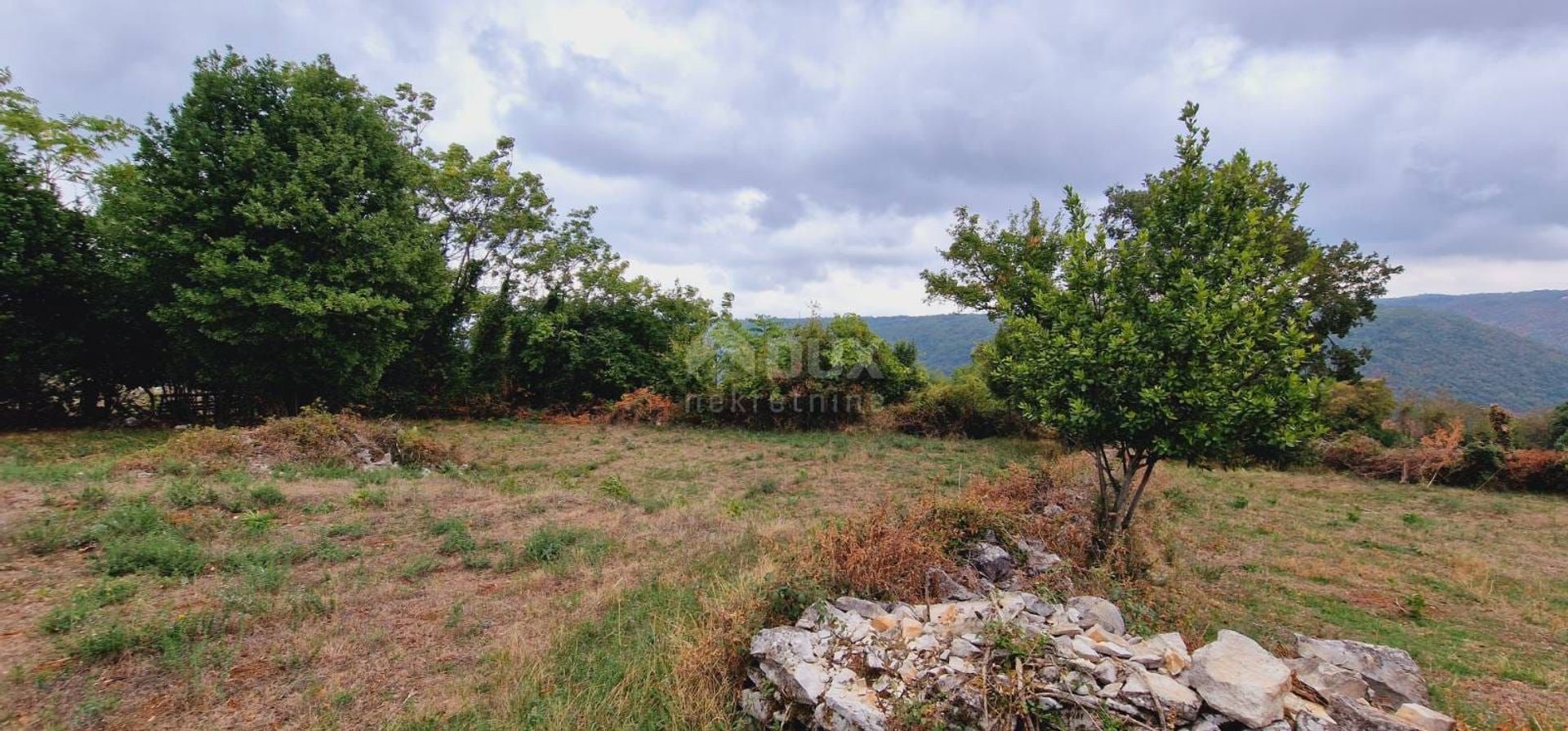 Terre dans Pićan, Istria County 10865726