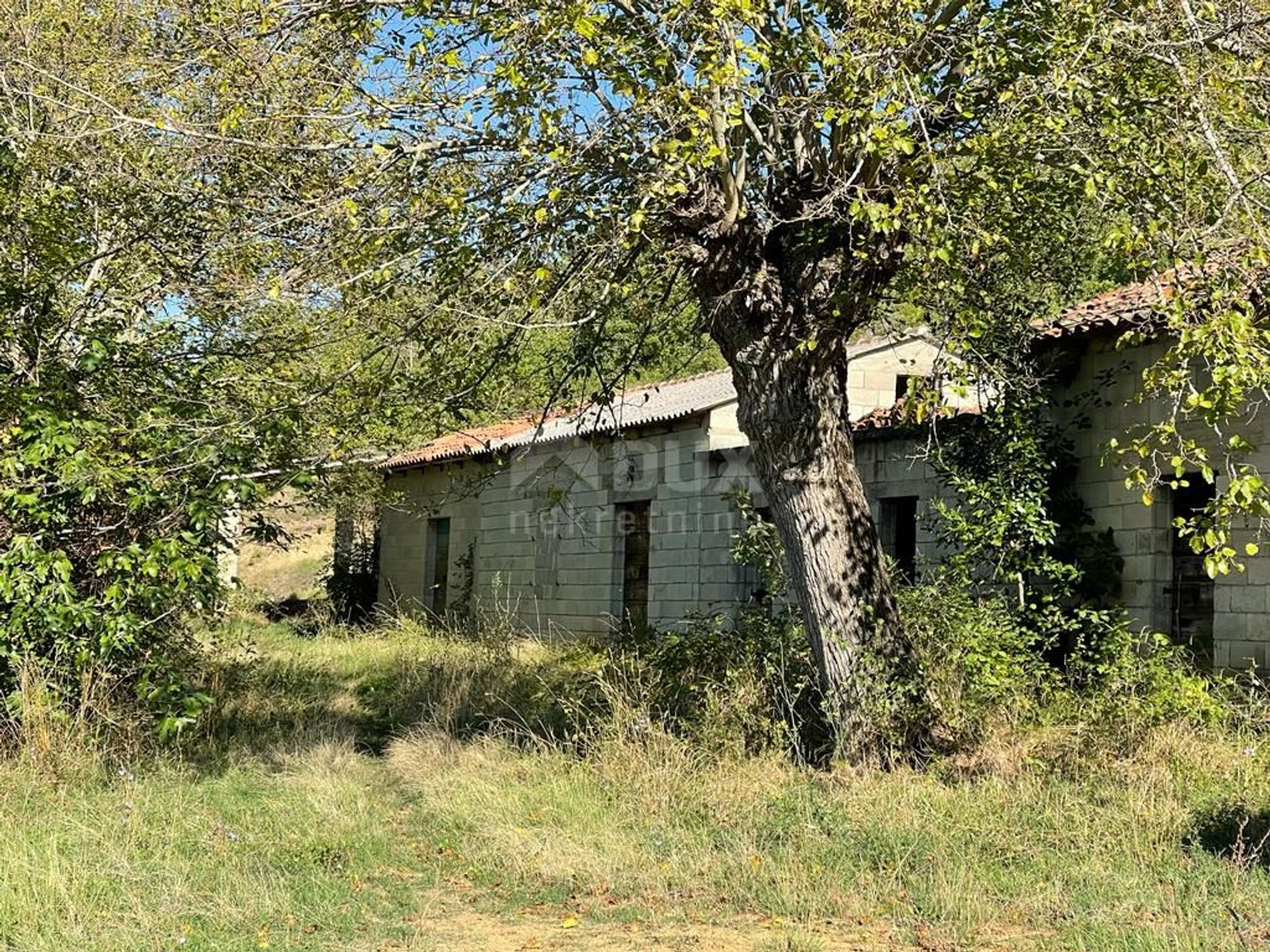 Huis in Grobnik, Pićan, Istria County 10866120