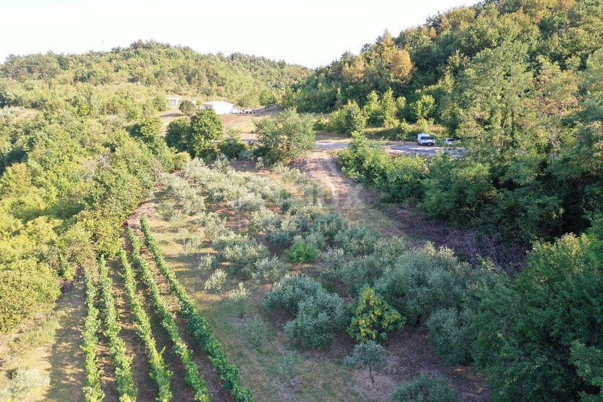 Land in Gračišće, Istria County 10867436