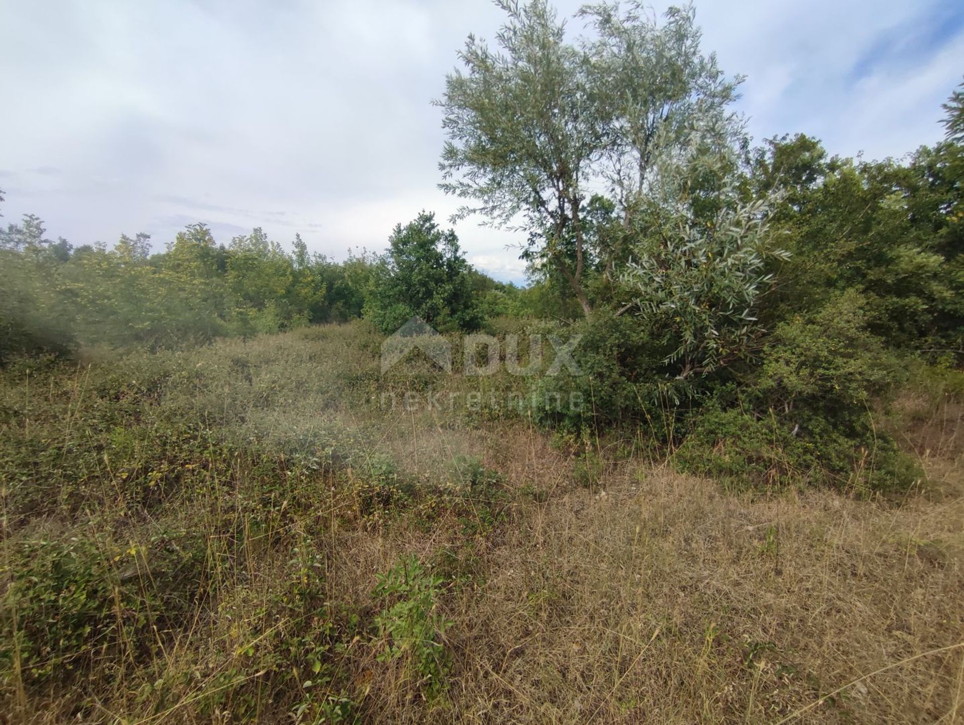 Land in Fazana, Istarska Zupanija 10867786