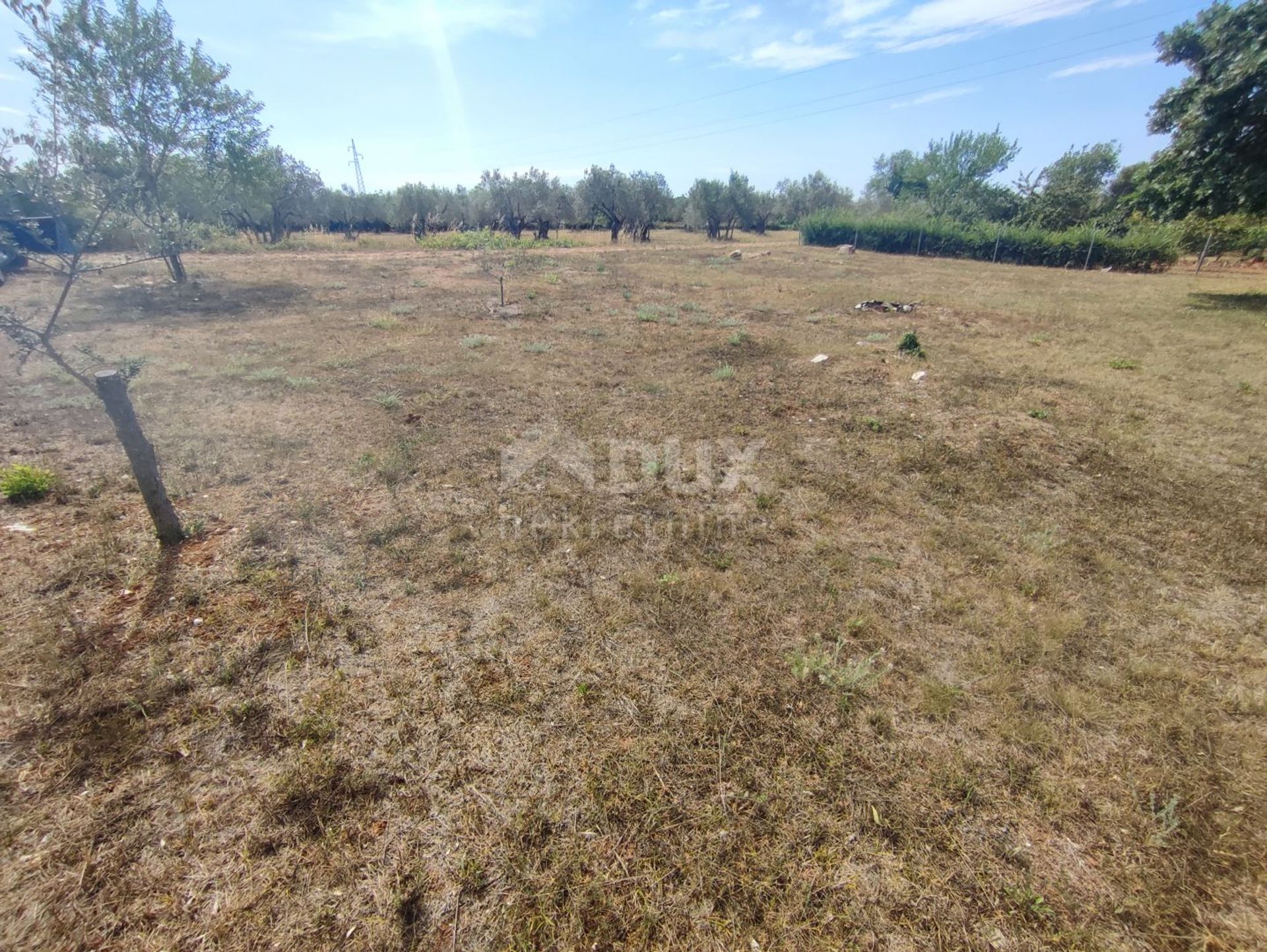 Land in Fazana, Istarska Zupanija 10868019