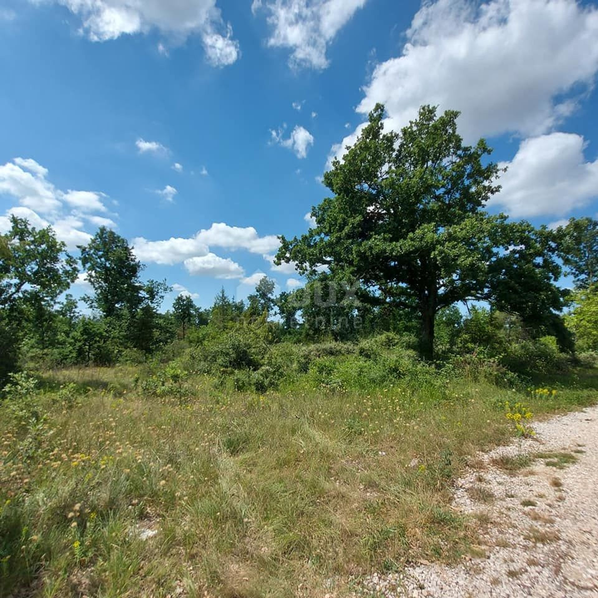 Land in Karojba, Istarska Zupanija 10868126