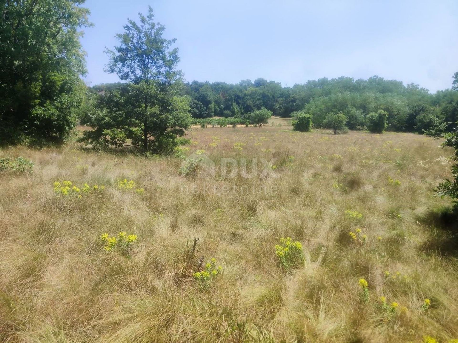 Jord i Labin, Istarska Zupanija 10868176