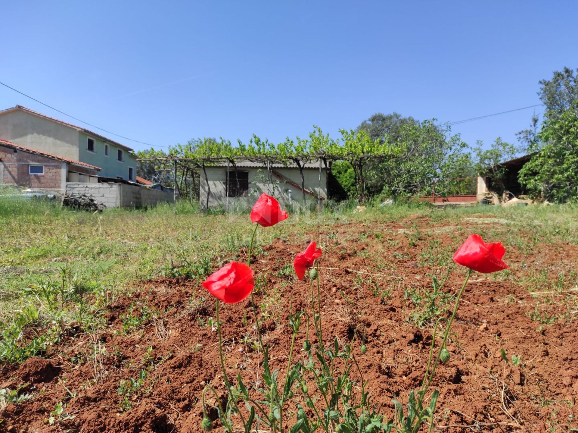 casa en Fažana, Istria County 10868194