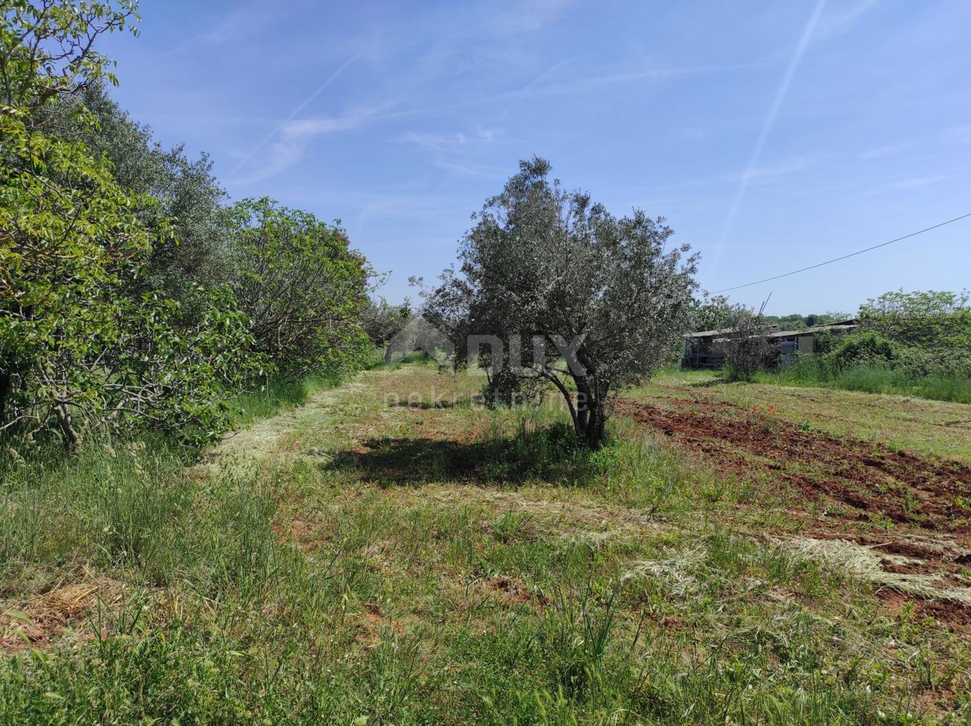 casa en Fazana, Istarska Županija 10868194